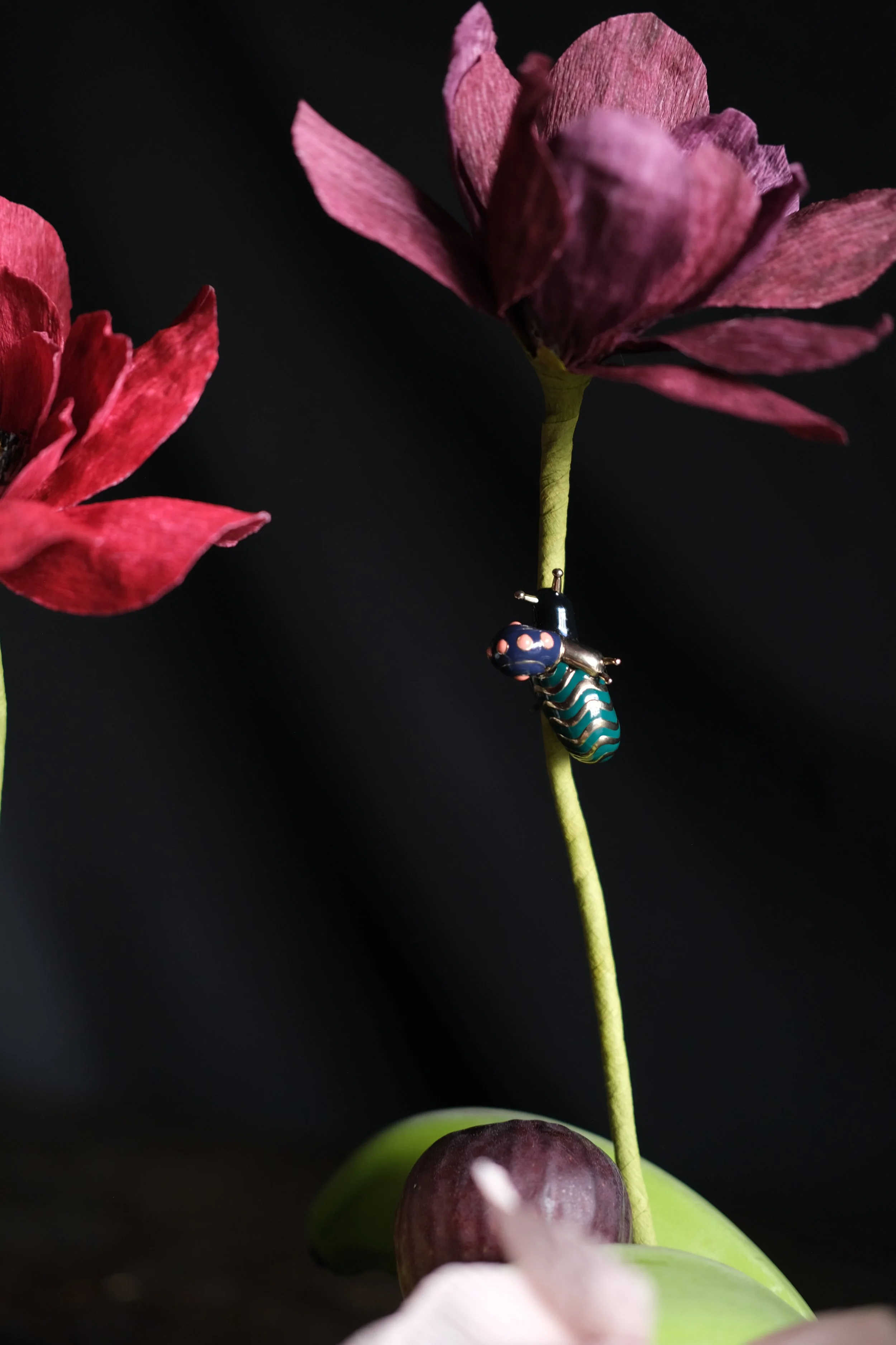 DSCF3757.JPG