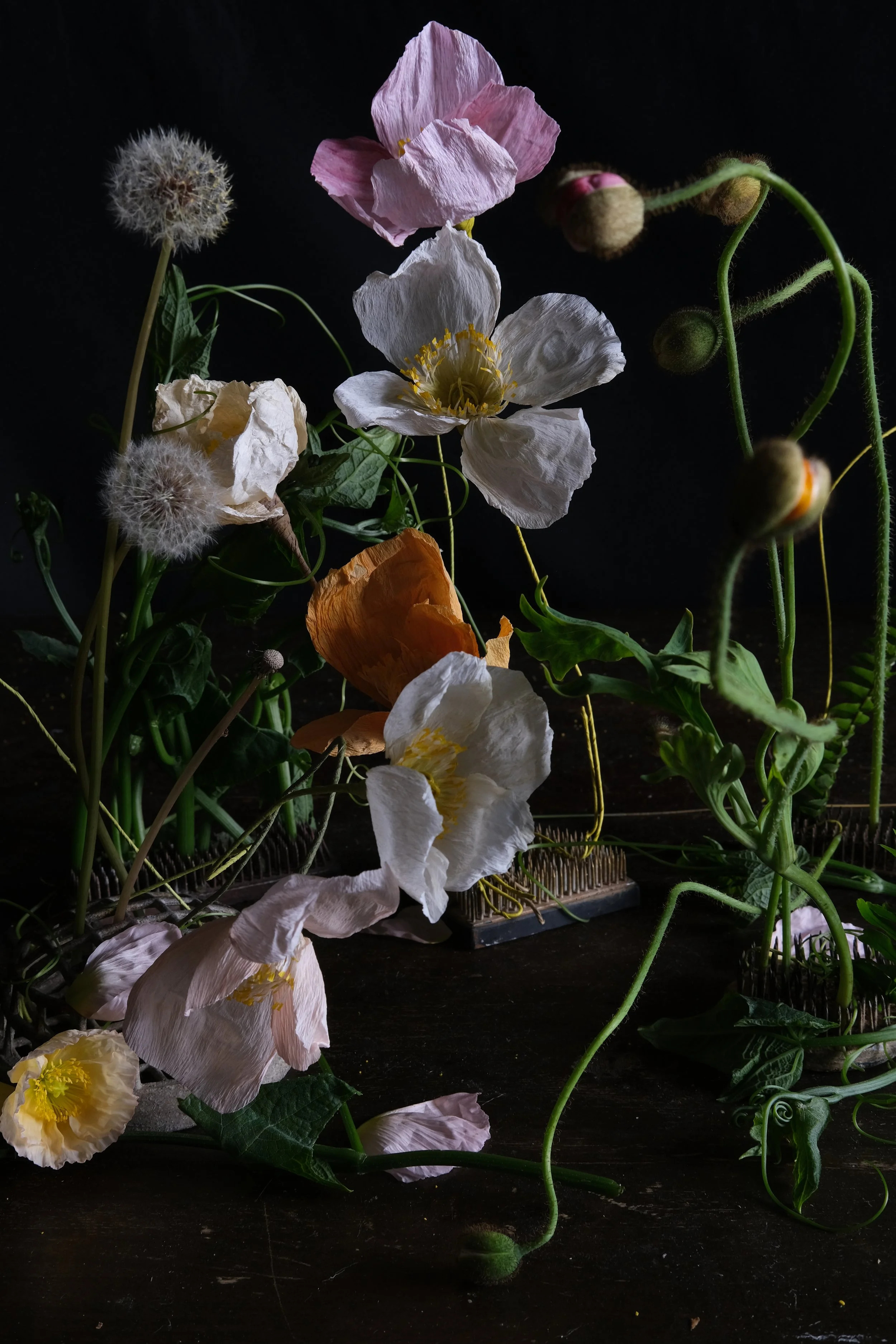 DSCF3778.JPG