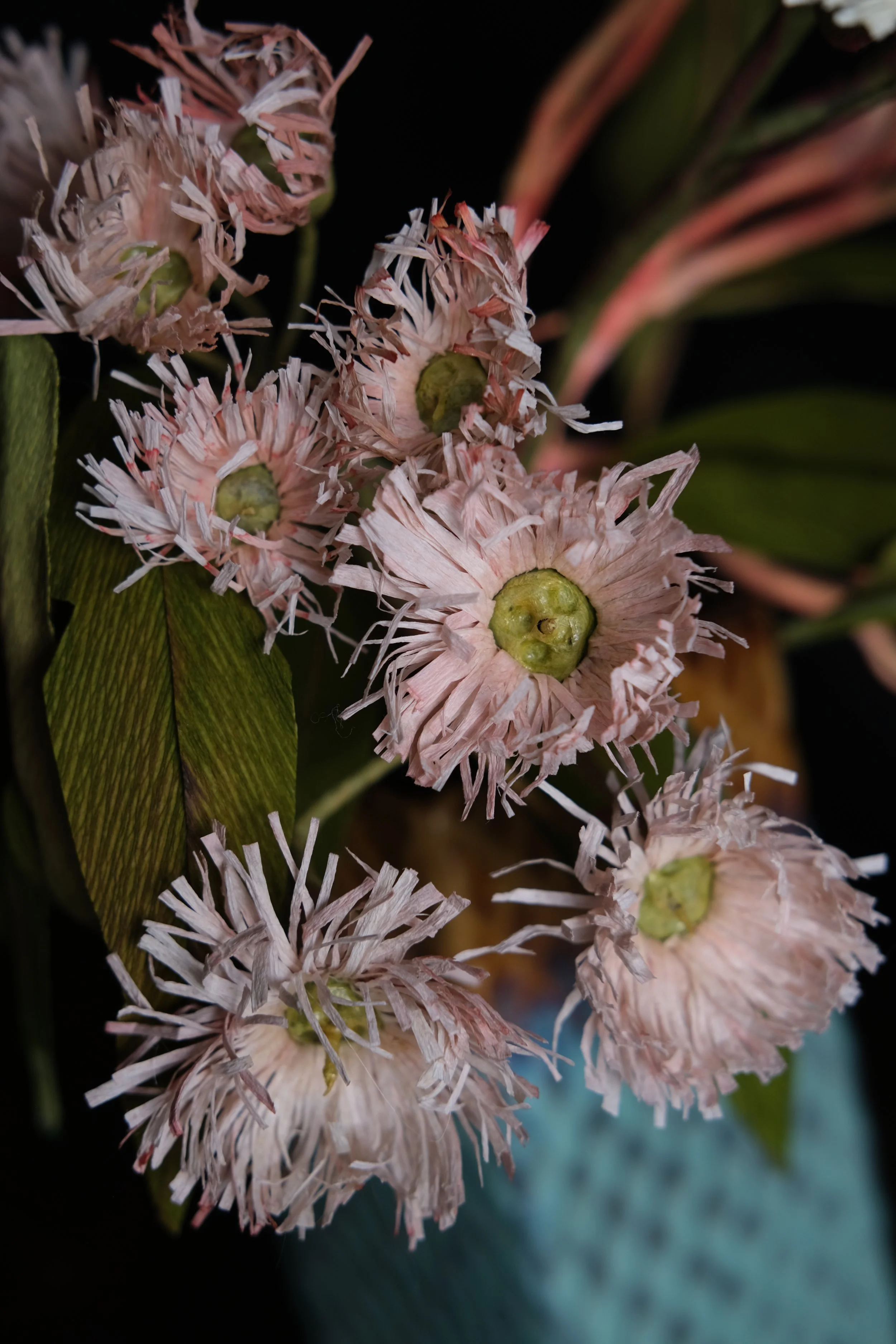 DSCF3827.JPG