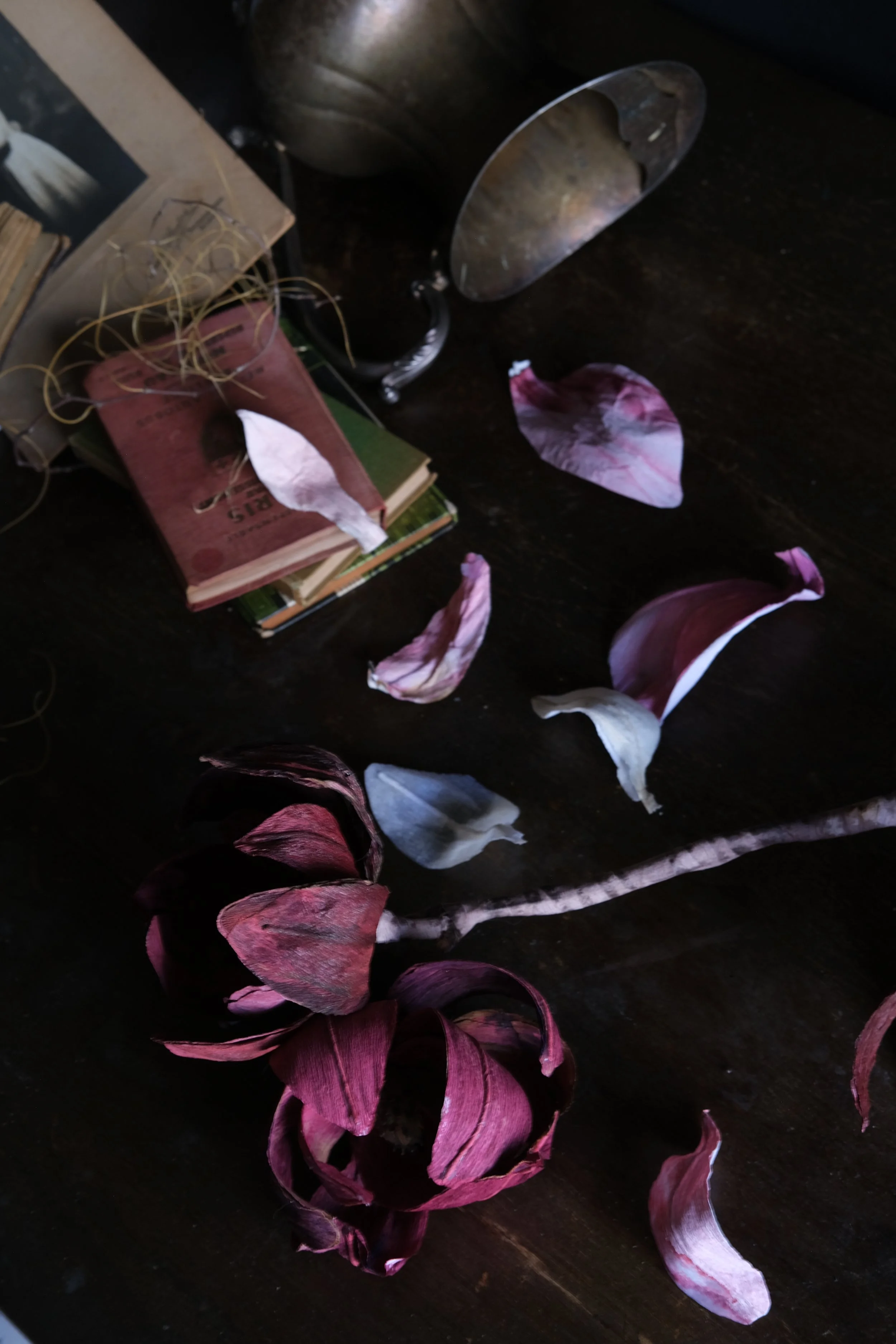 DSCF3646.JPG
