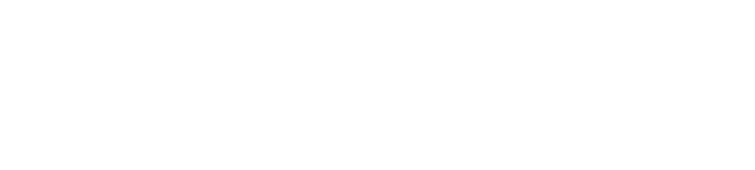 ArmavDocs white logo