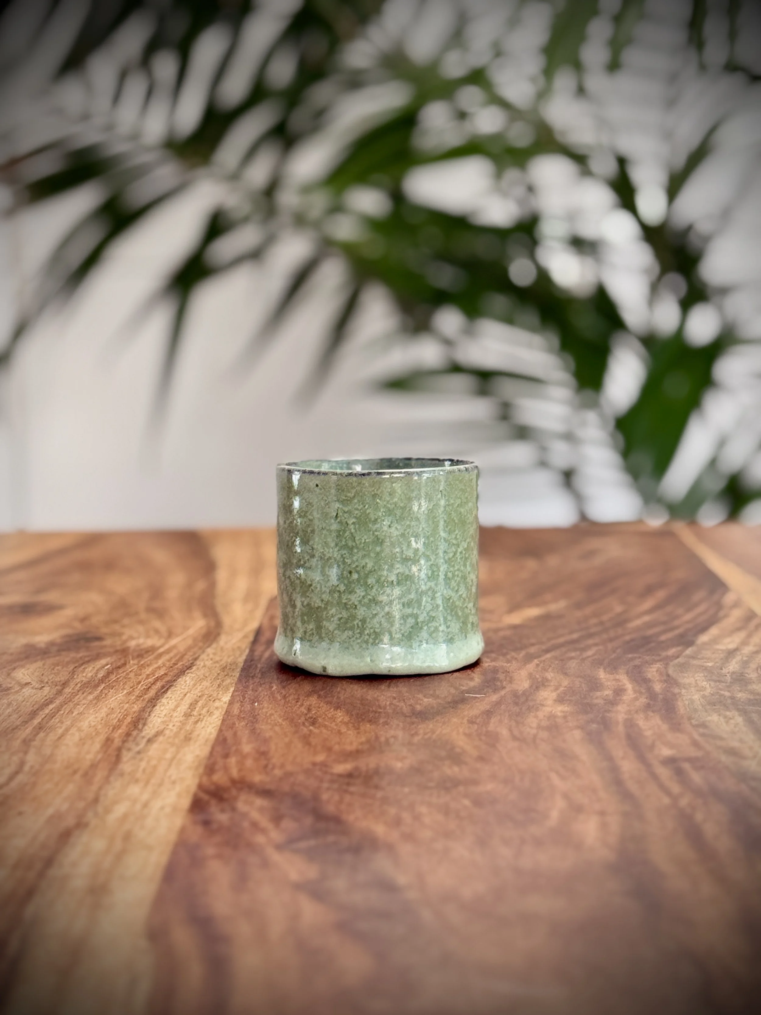 Small | Vessel | Eucalyptus