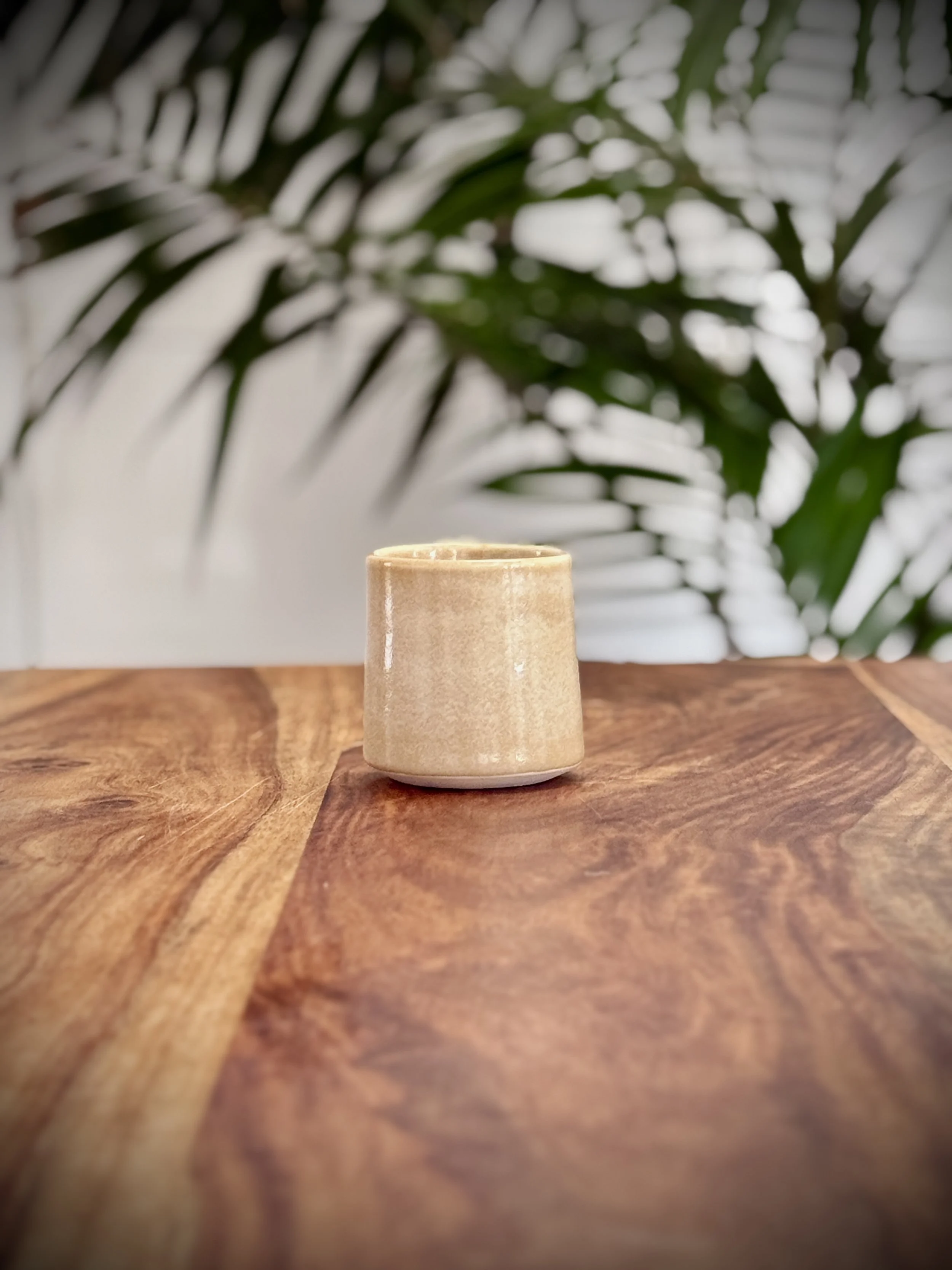 Small | Vessel | Outback