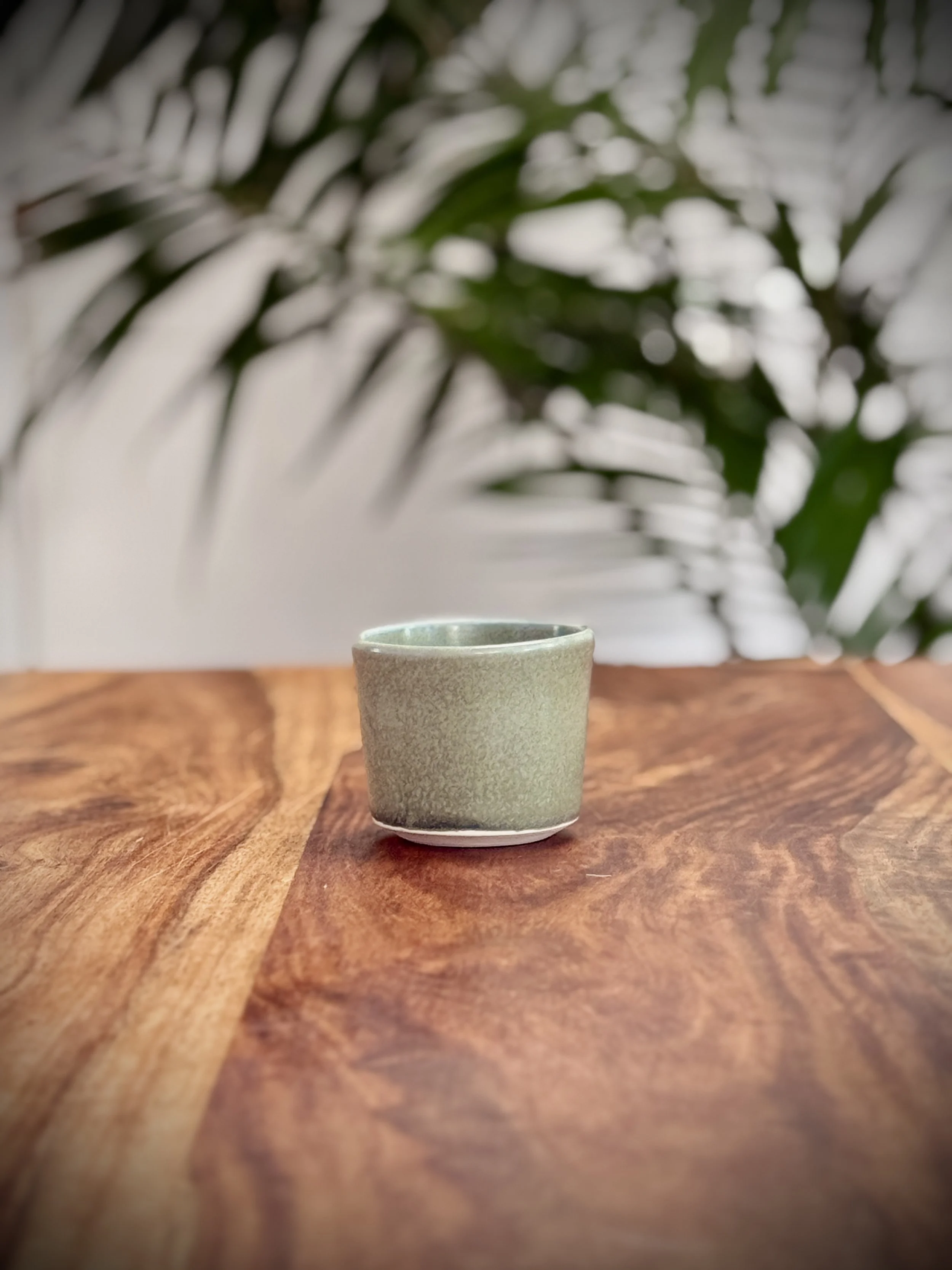 Small | Vessel | Eucalyptus