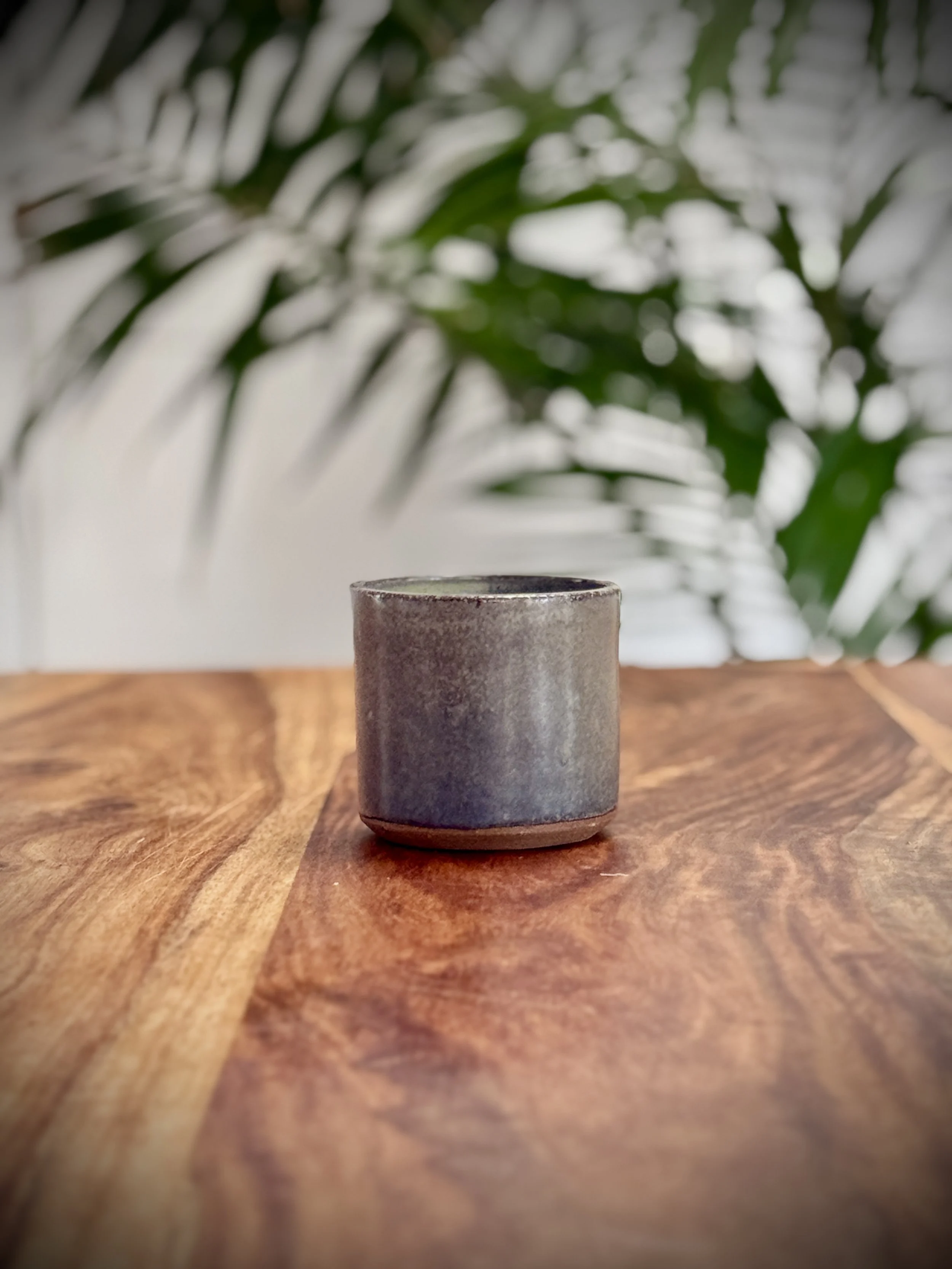 Small | Vessel | Banksia