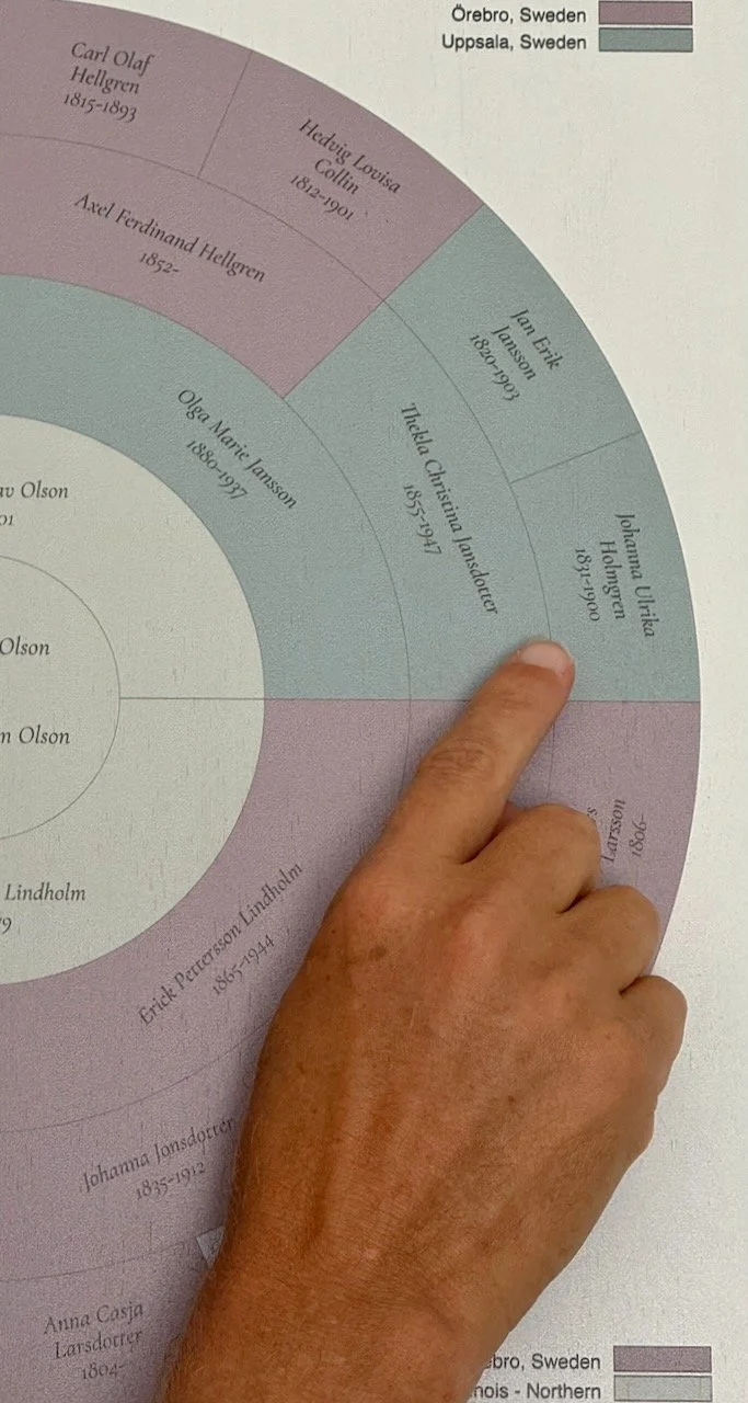 pointing at details on a 5-generation genealogy wall chart