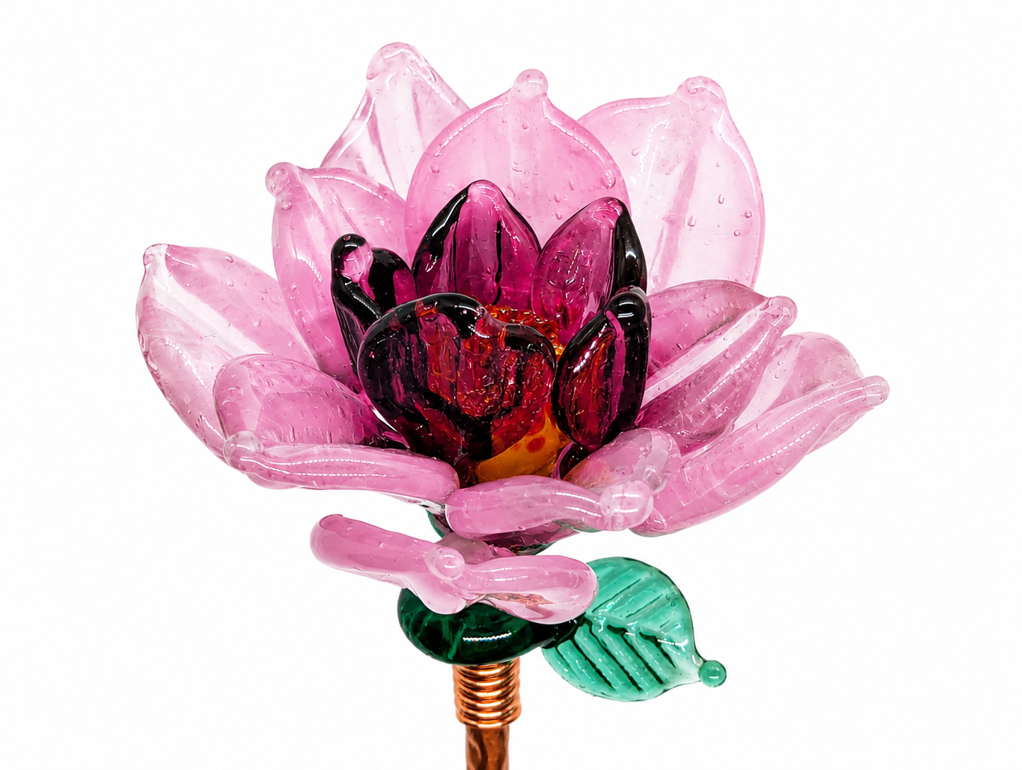 Fuschia.png