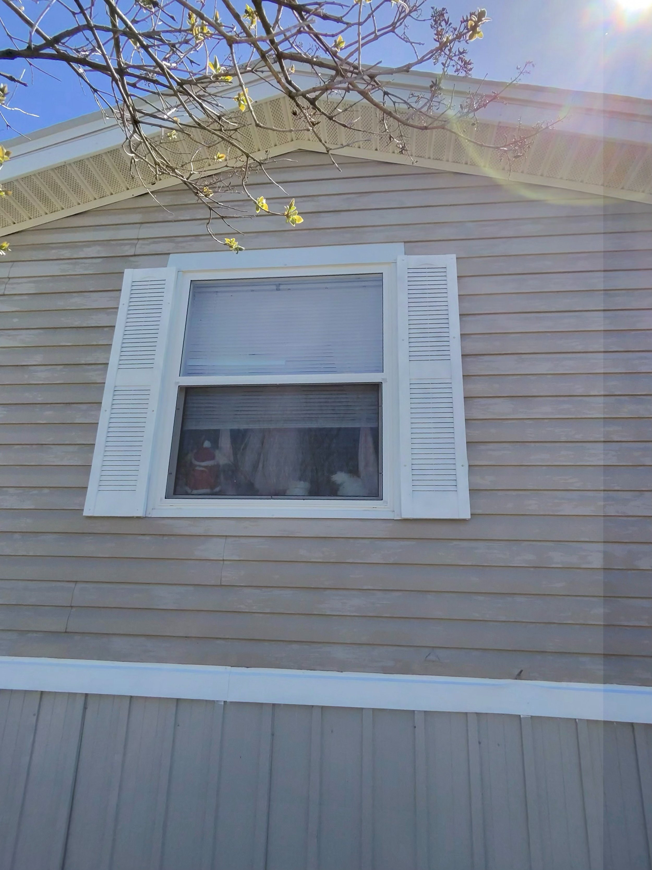 A beige house with horizontal siding and a white-framed window with closed blinds. A tree with budding leaves and small flowers is visible at the top of the image, and the sky is clear and sunny.