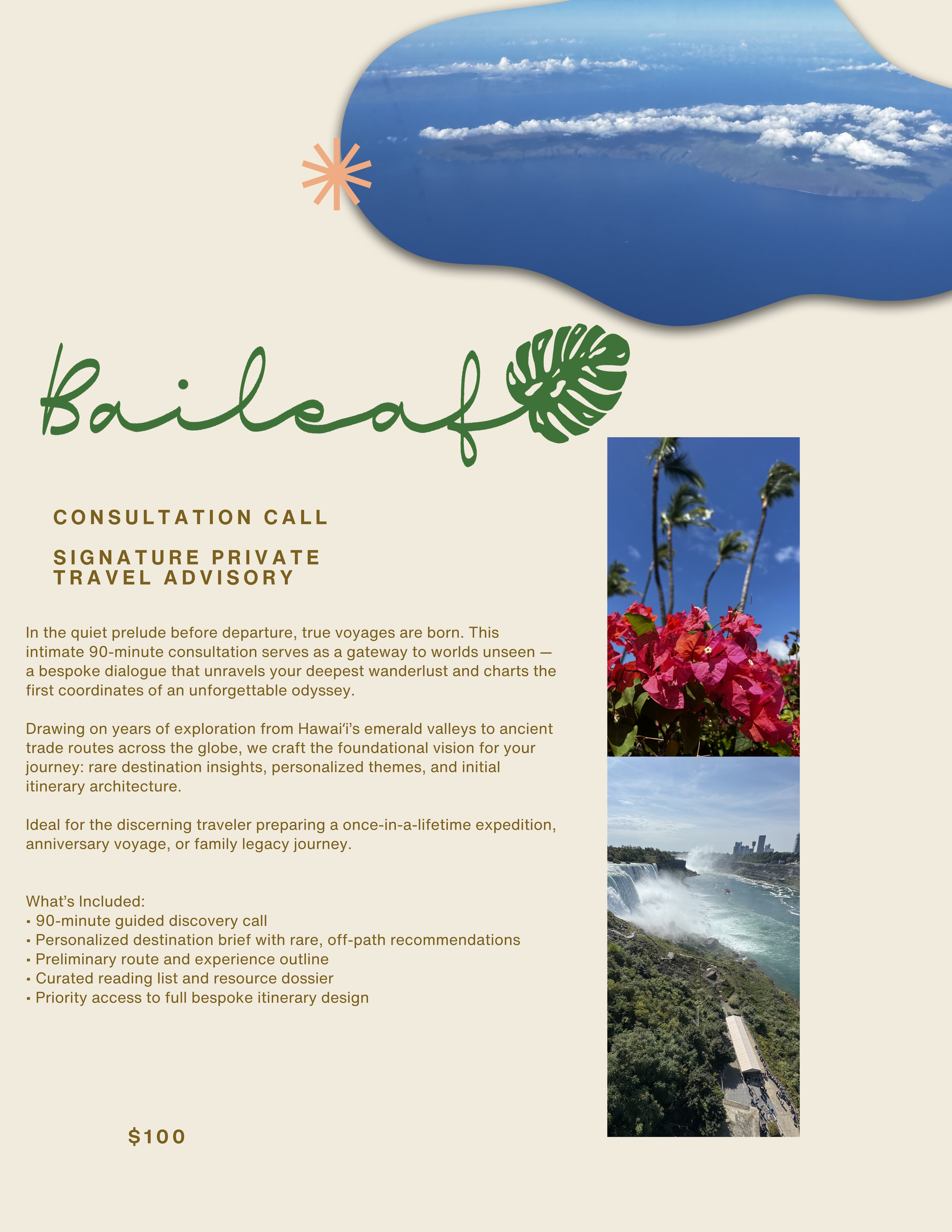 Cream Minimalist Consultation Services Flyer.png