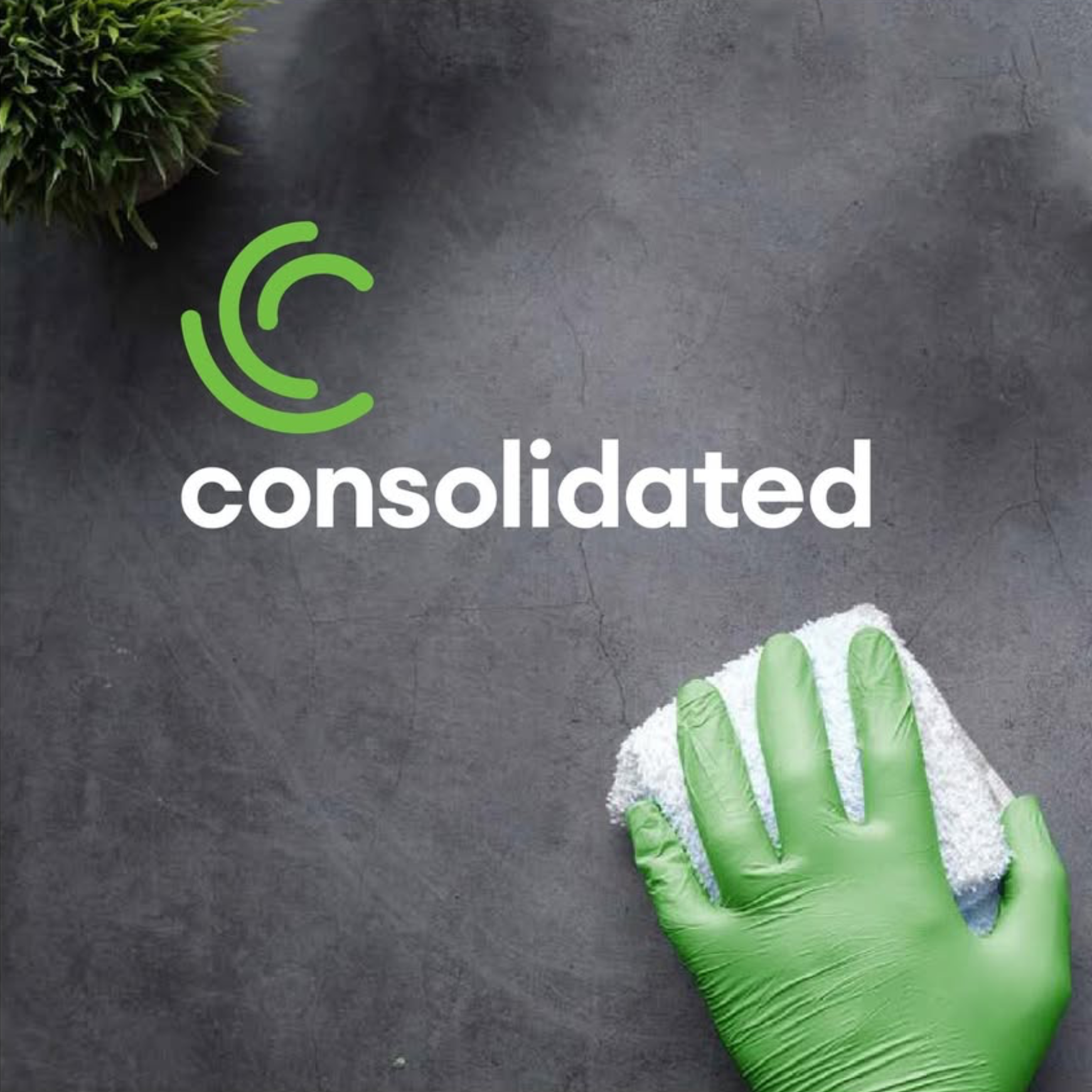 A hand wearing a green glove holding a scrub brush with white and green bristles on a dark surface, with part of an artificial plant visible in the corner and the word "consolidated" written in white text.