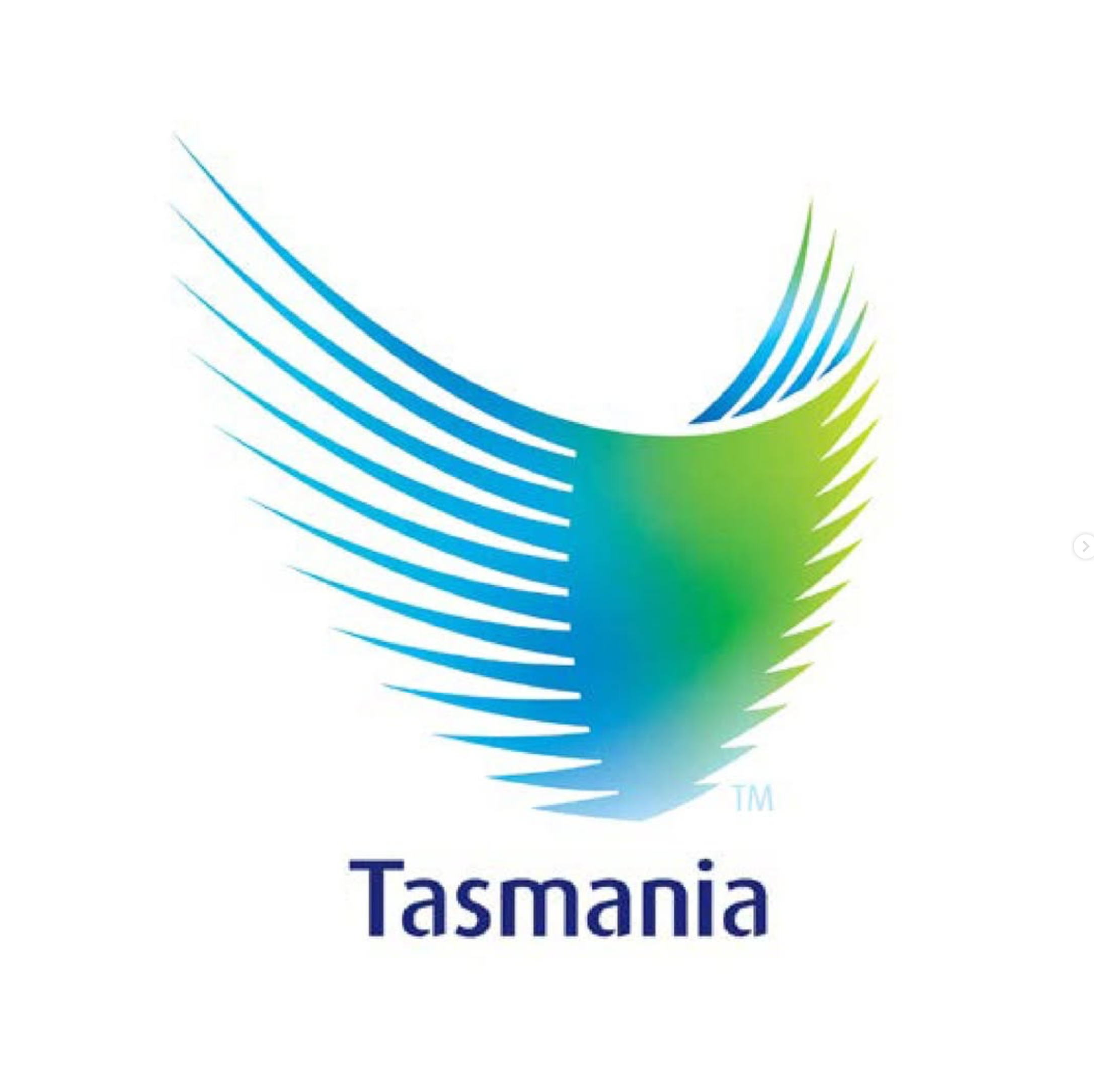 Logo with blue, green, and teal curved lines and the text 'Tasmania' beneath it.