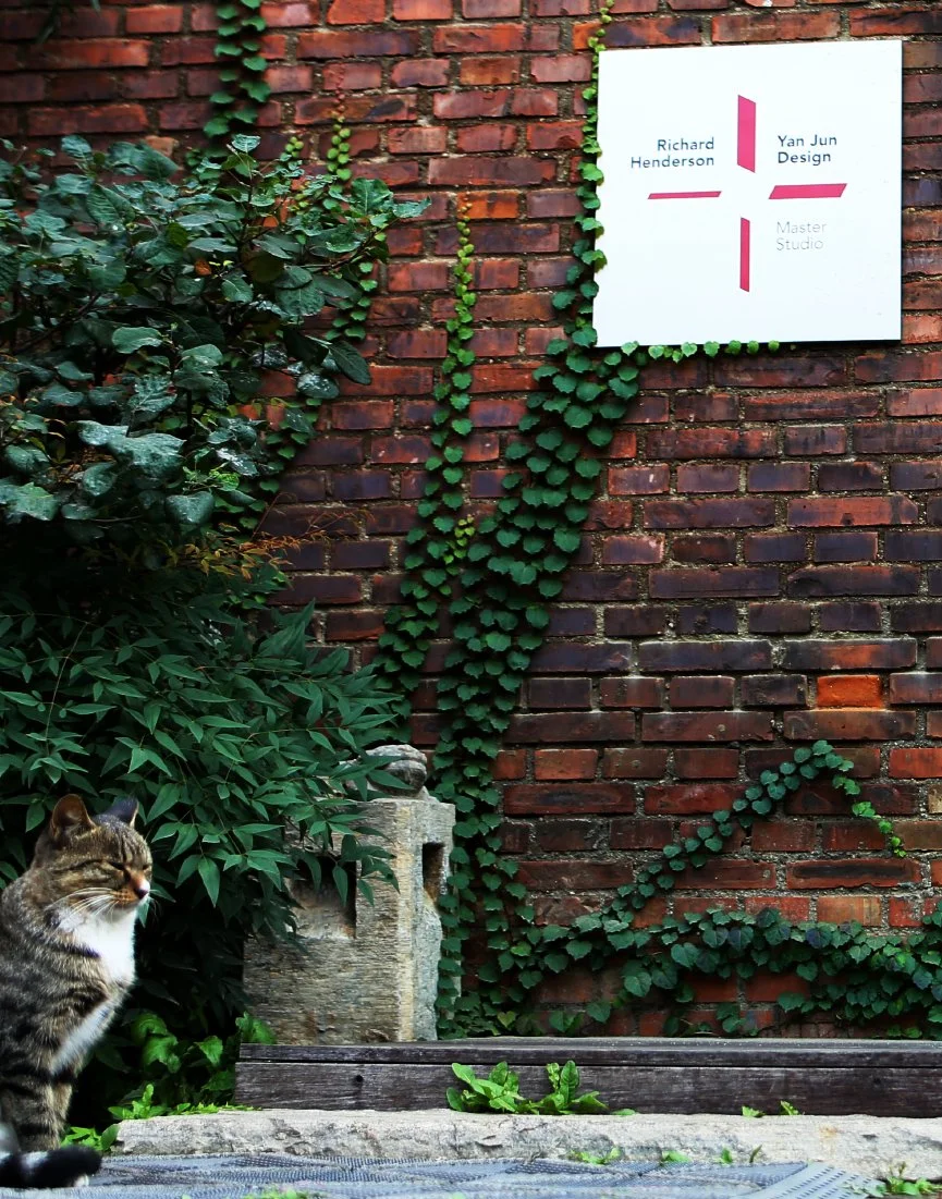 A cat outdoors sitting on the ground in front of green foliage and a brick wall with ivy and a sign reading 'Richard Henderson, Yan Jun Design, Master Studio'.