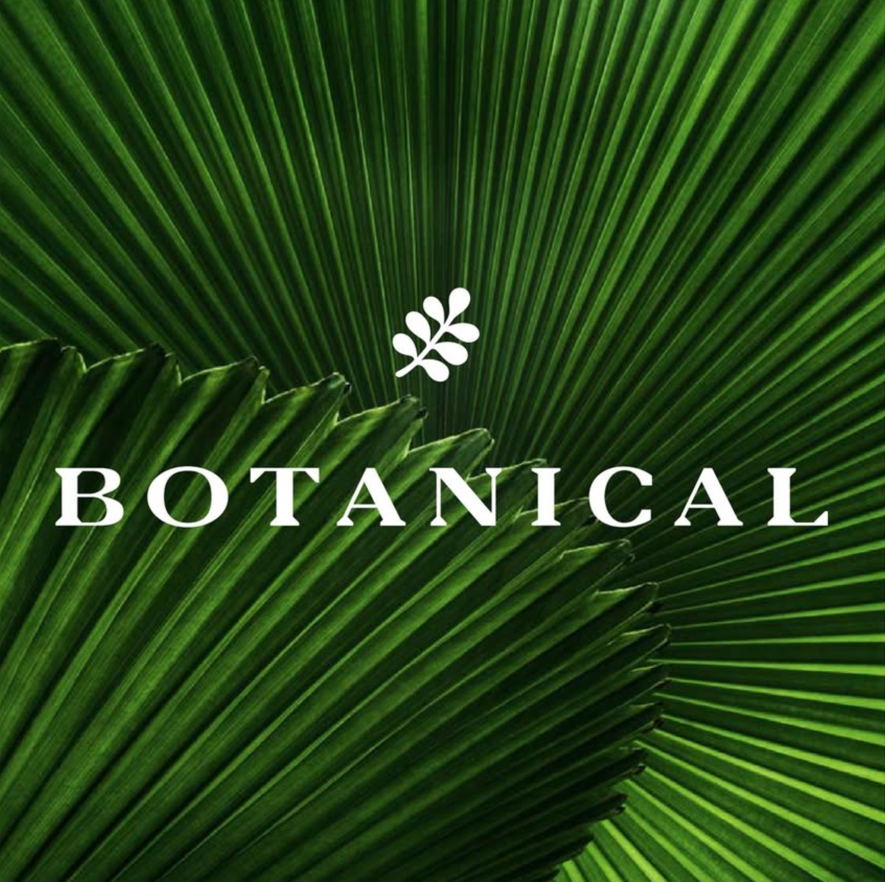Close-up of green palm leaves with a white text overlay reading 'Botanical' and a small white botanical icon above.