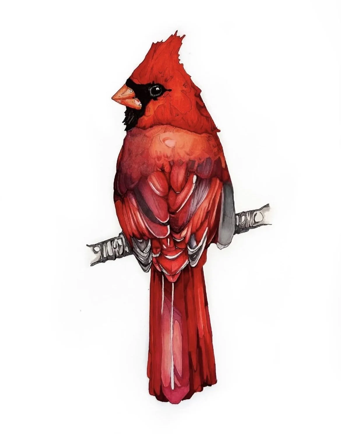 cardinal-racheljuddart.jpg