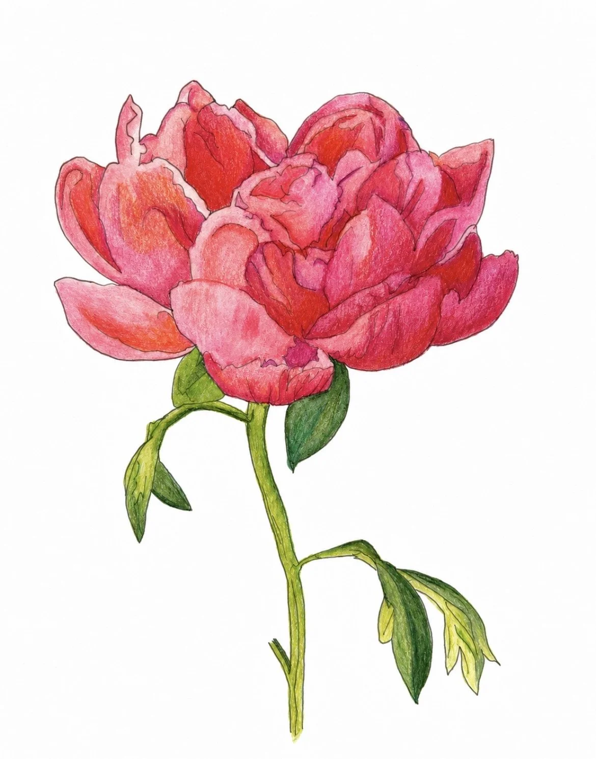 pinkflower-racheljuddart.jpg