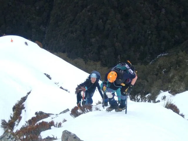  Exiting the bushline on the Rome Ridge, from Coral Track 