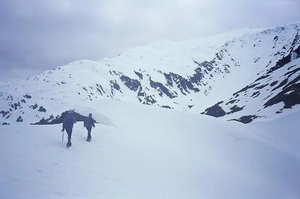 adams_07.jpg