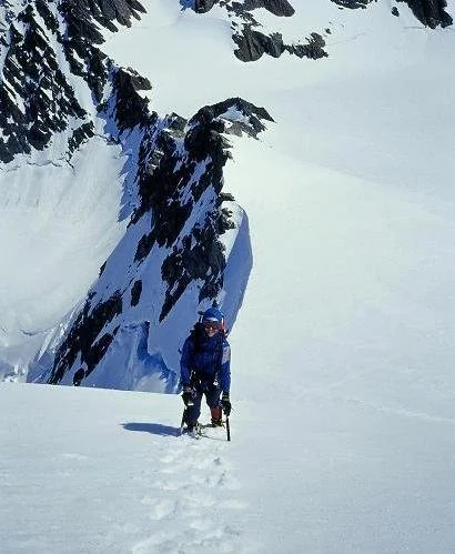  Matthew, ascending Mt Aylmer (Tasman Saddle in background) 