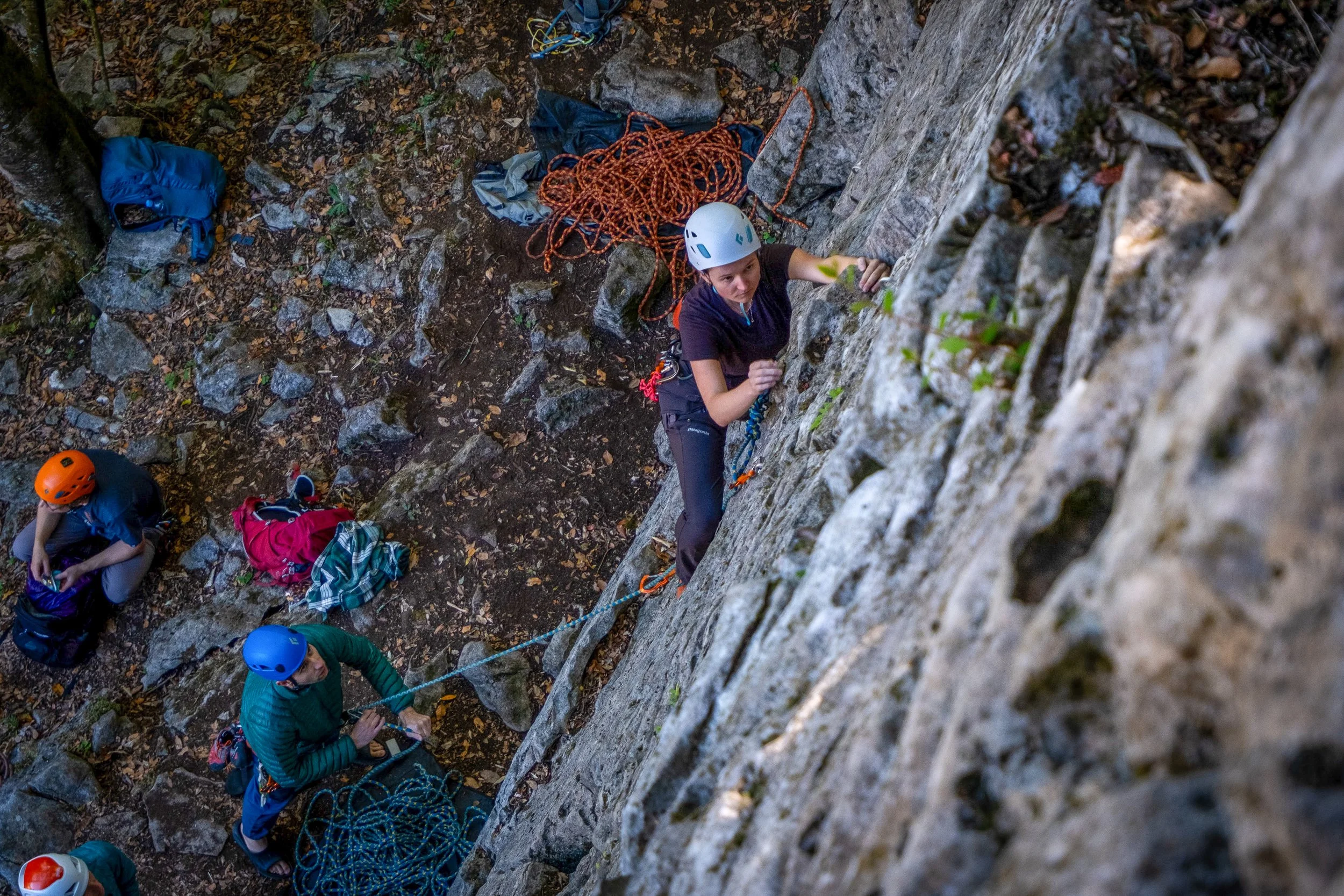 A group of rock climbers, including a young woman, ascending a steep, rocky outdoor cliff with trees and fallen leaves on the ground, equipped with helmets, harnesses, and ropes.