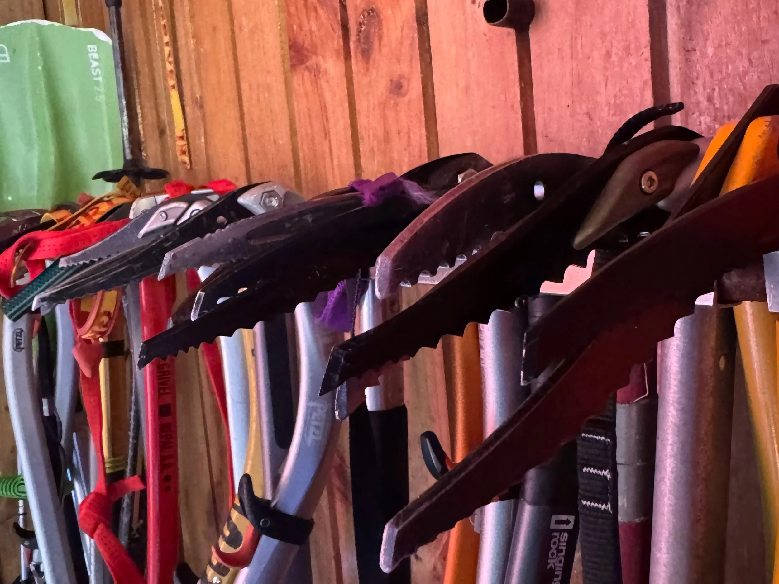 A shelf full of various ice skates, some with red, black, or yellow accents, against a wooden backdrop.