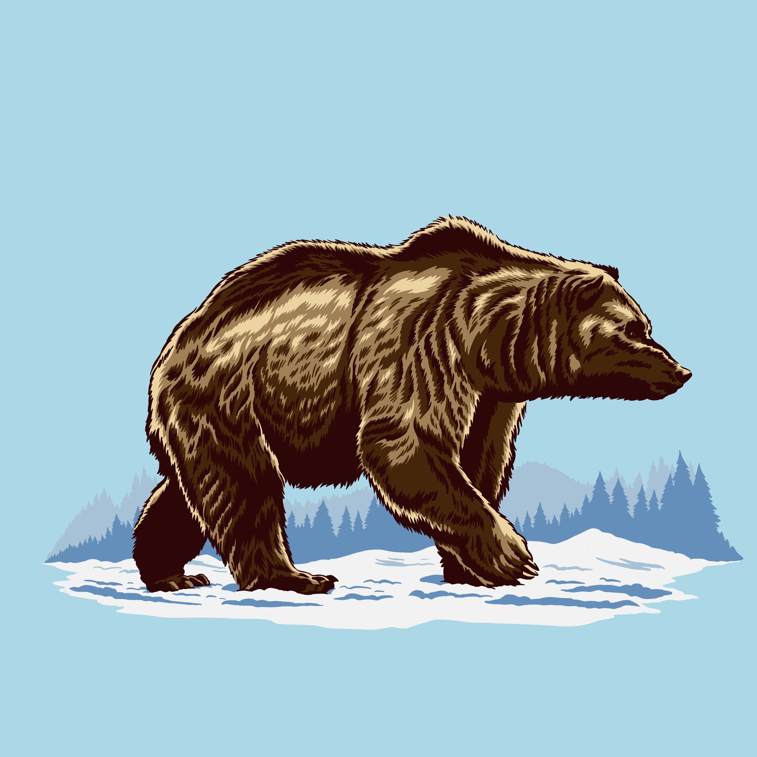 Bear 