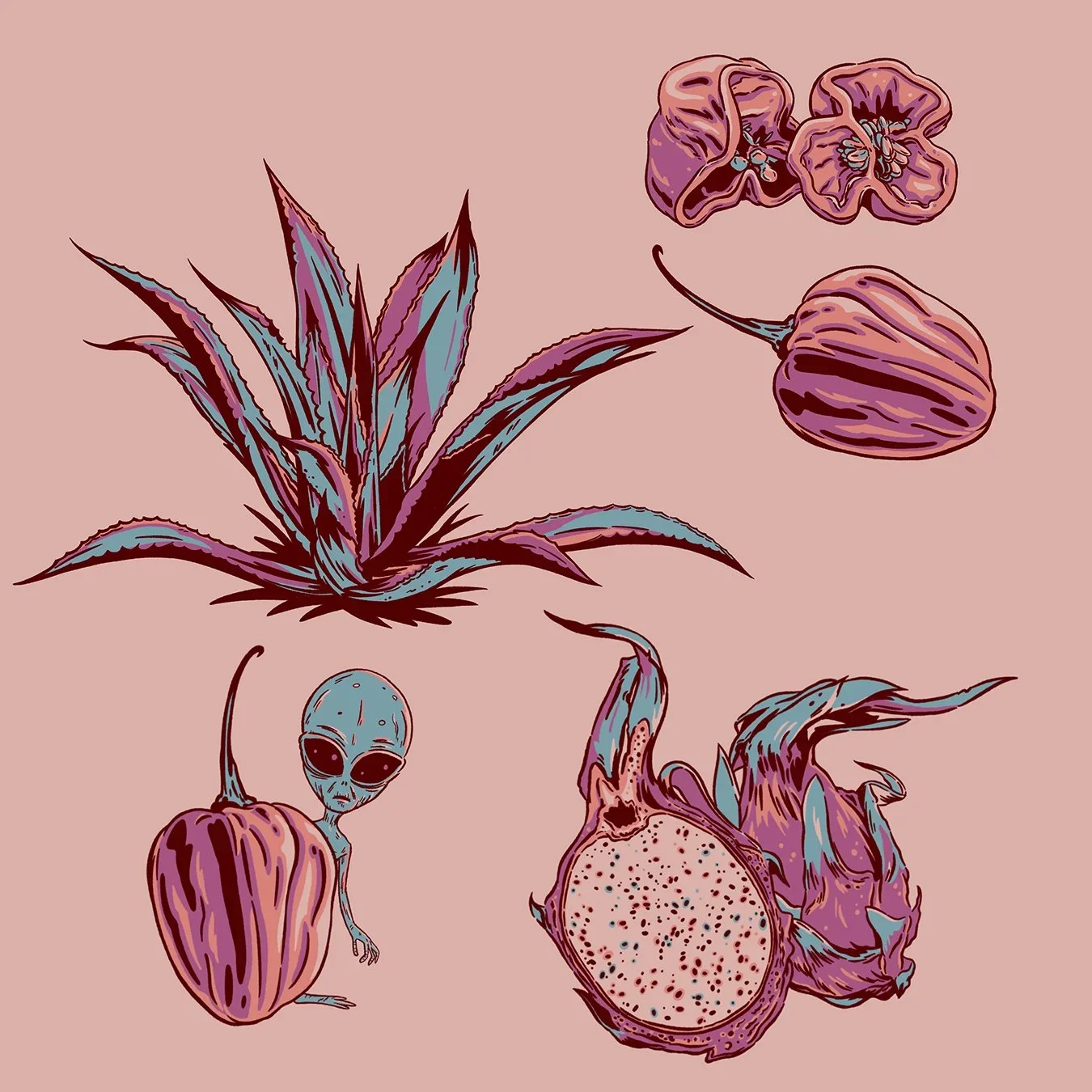 Agave, heat and sweets