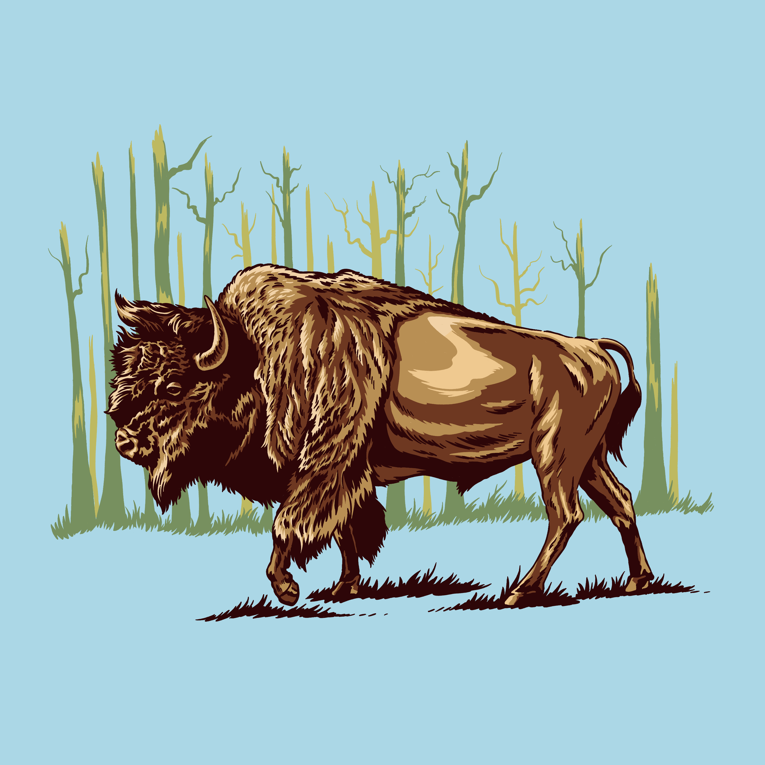 Buffalo