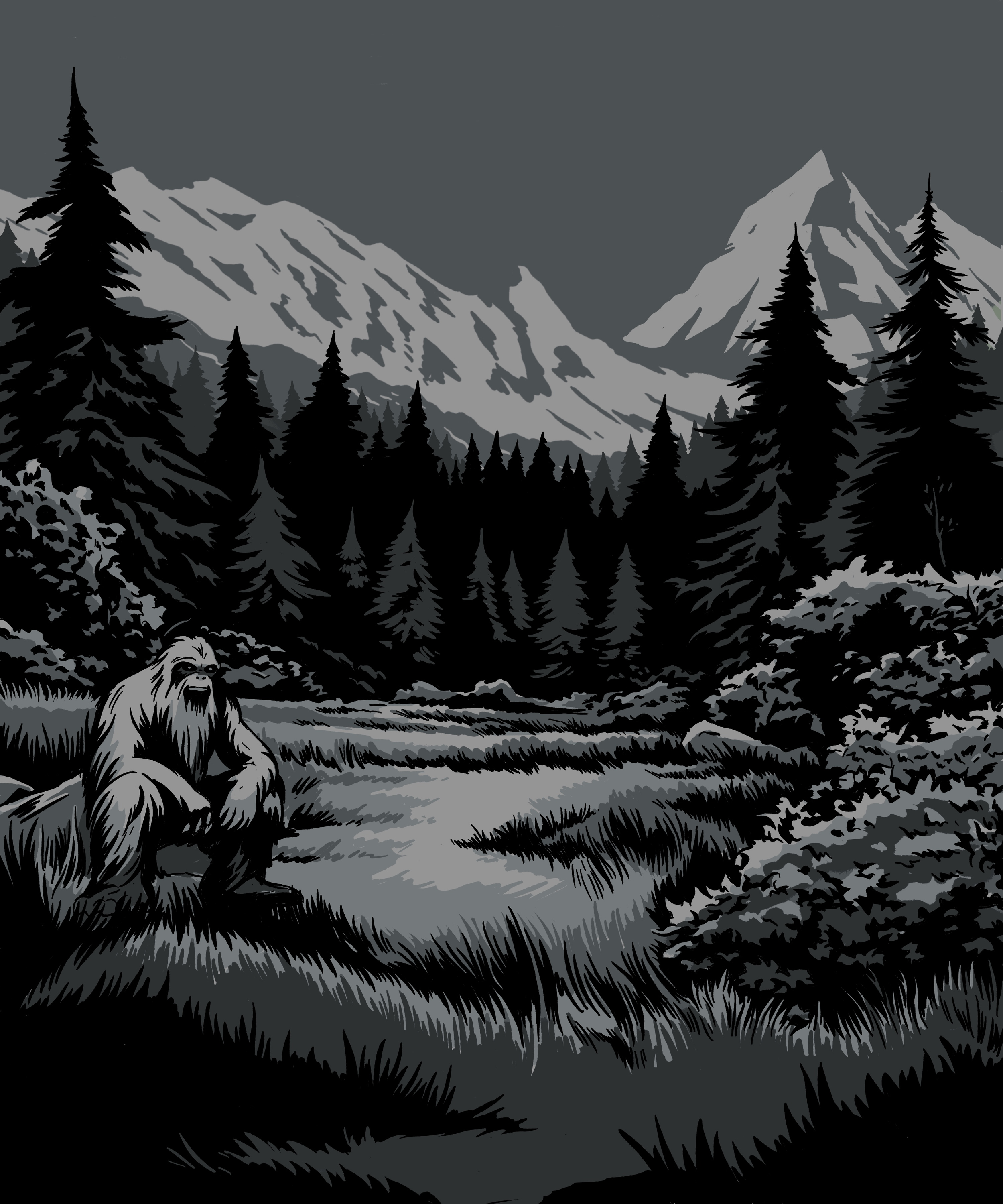 Serene Comp