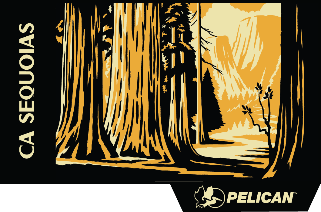 Sequoias