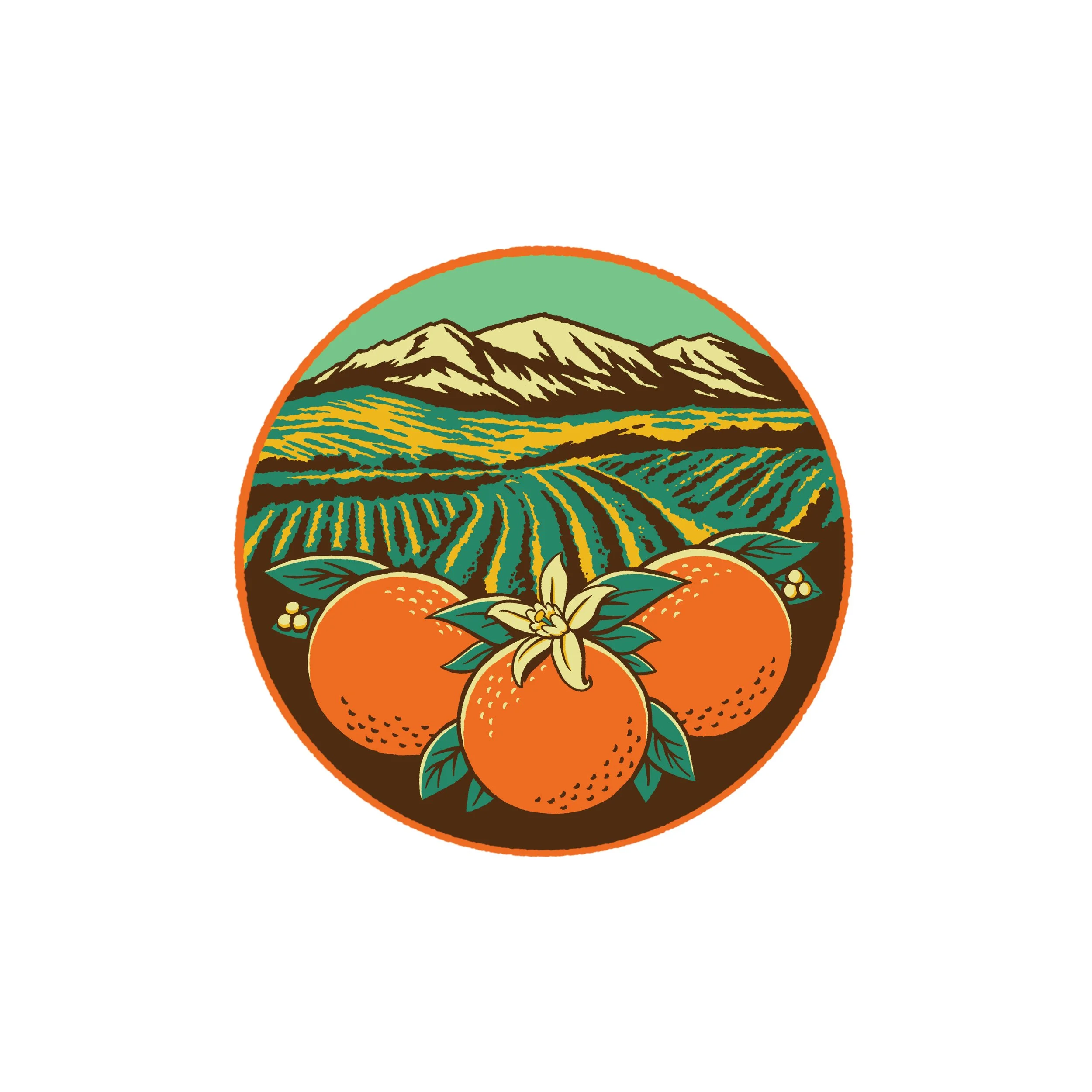 OC Crest 3
