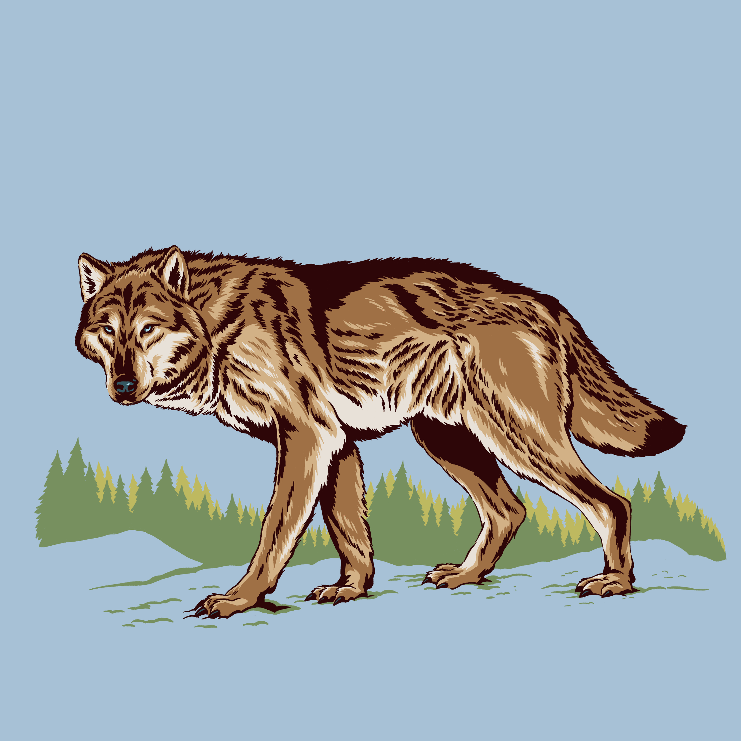 Wolf