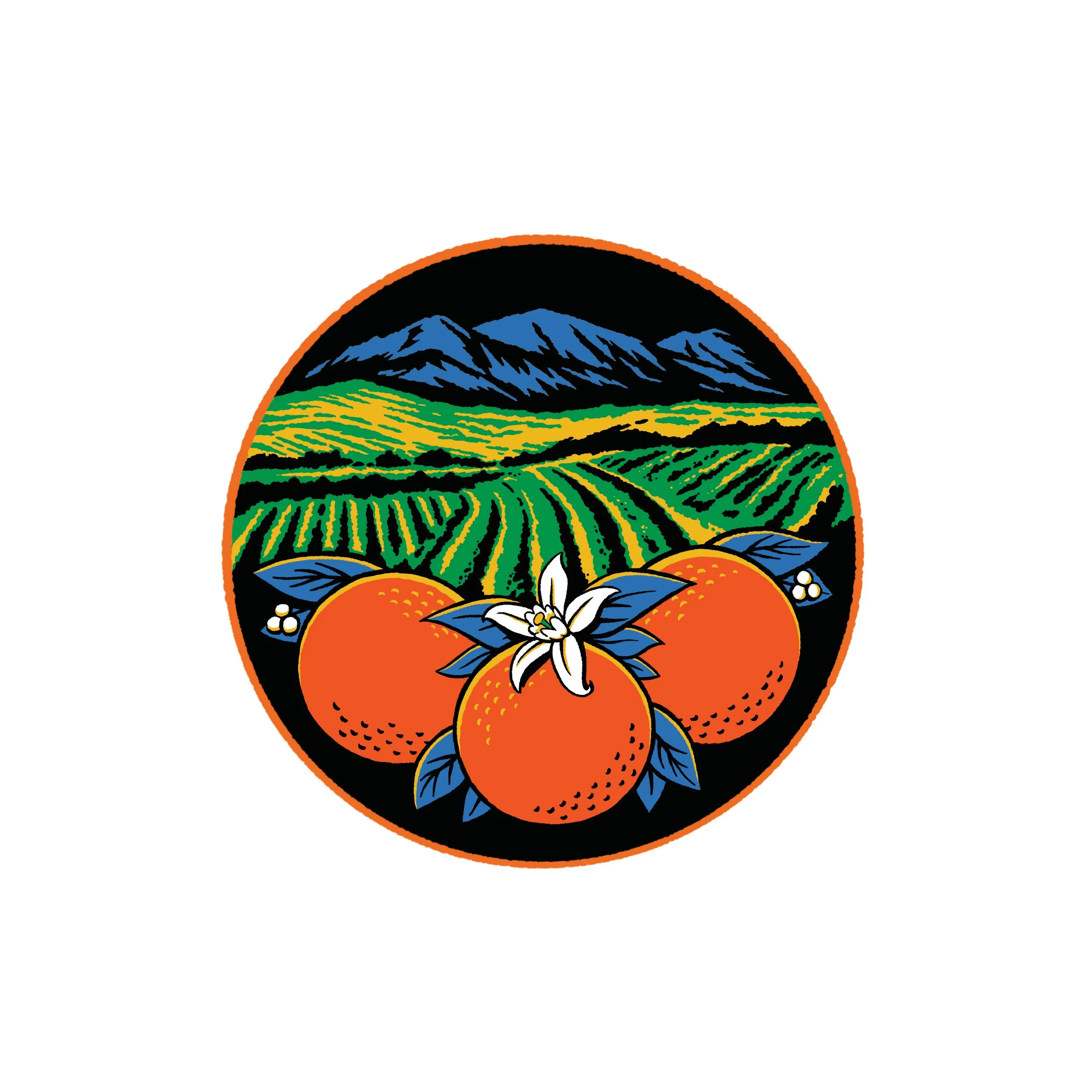 OC Crest 1