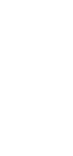 丈青