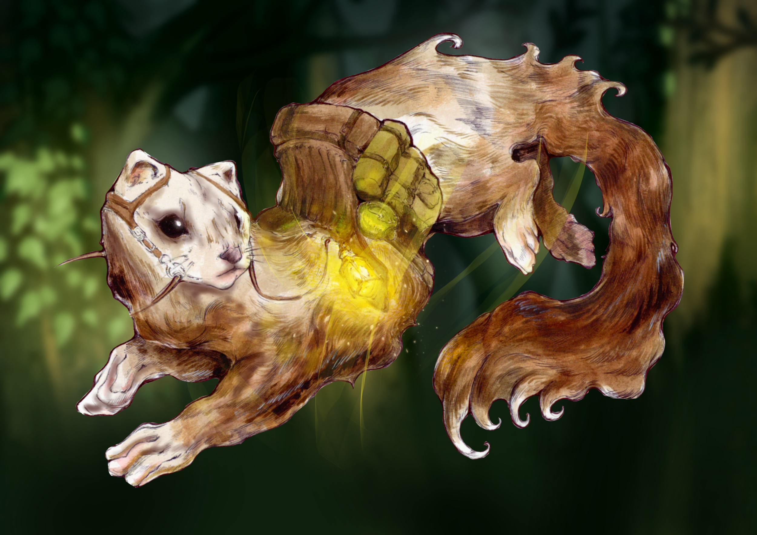 image00010.png