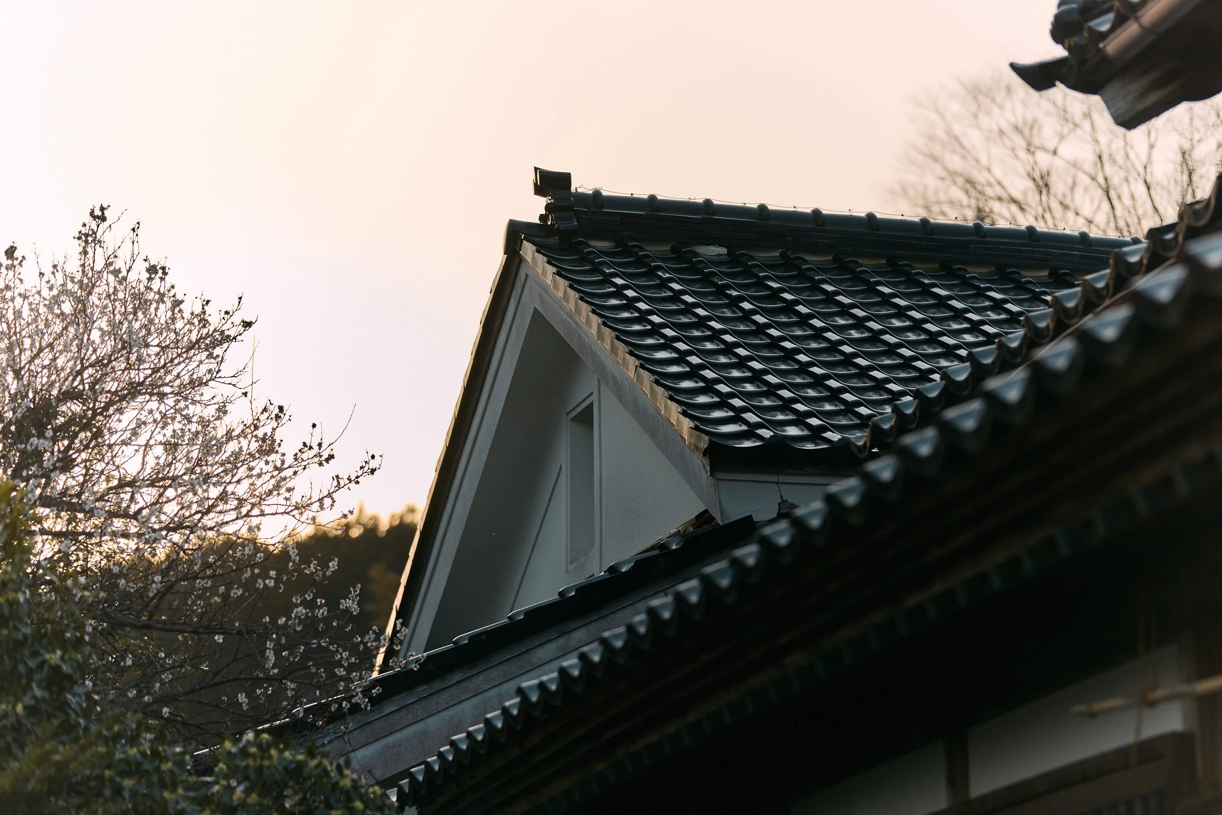 伝統的な日本の家の屋根のアップ。瓦屋根と白い壁の部分が見える。背景には木の枝と空が映っている。