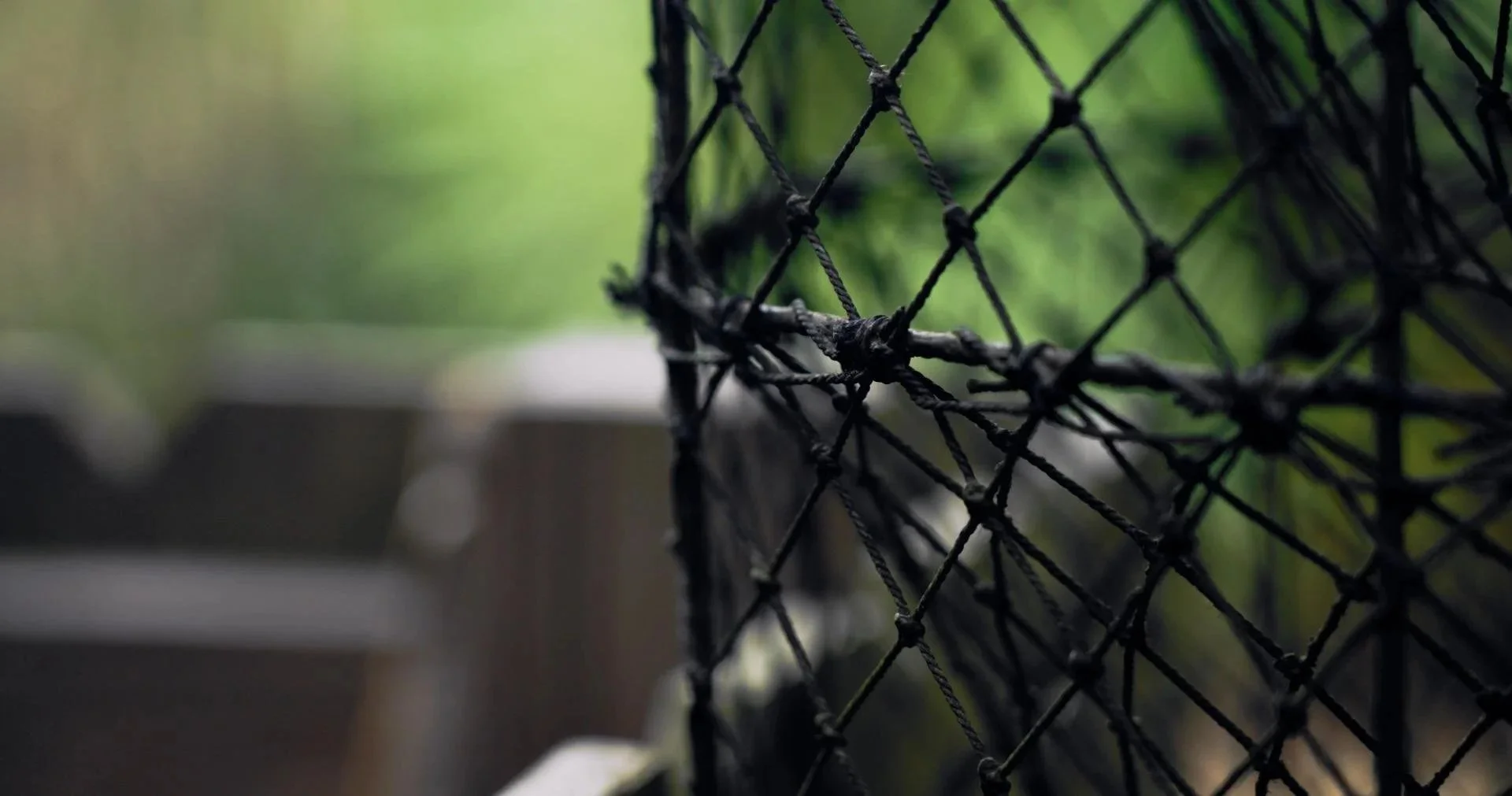 Close-up of a black wire fence with a blurred green background.