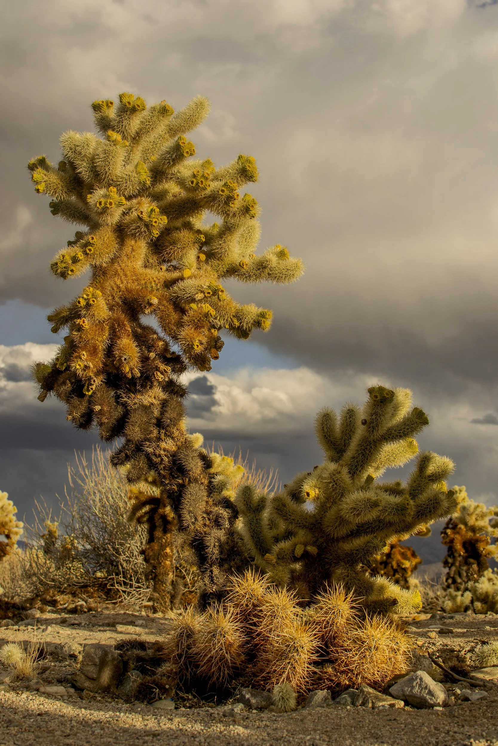 death-valley-2-2.jpg
