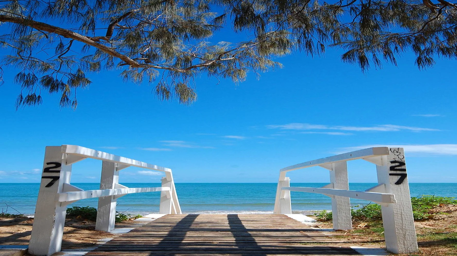 View of a beach with a wooden boardwalk leading to the ocean, flanked by two white benches, under a tree with overhanging branches, and a clear blue sky.