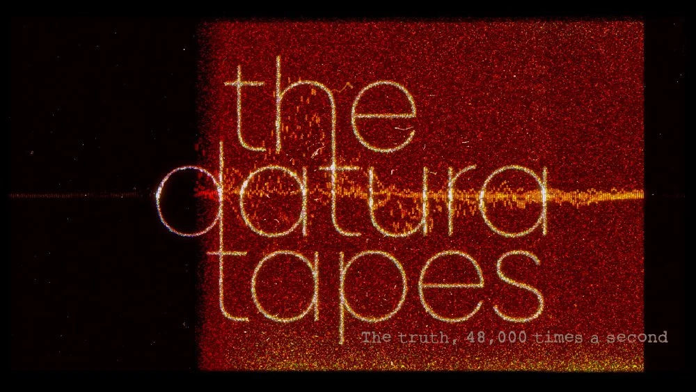 TDT_WAVEFORM4_SM.jpg