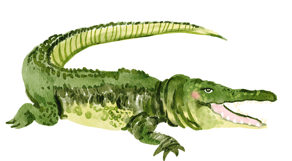 A watercolor illustration of a crocodile with a smiling expression, pink blush on its cheek, and its mouth open showing teeth.