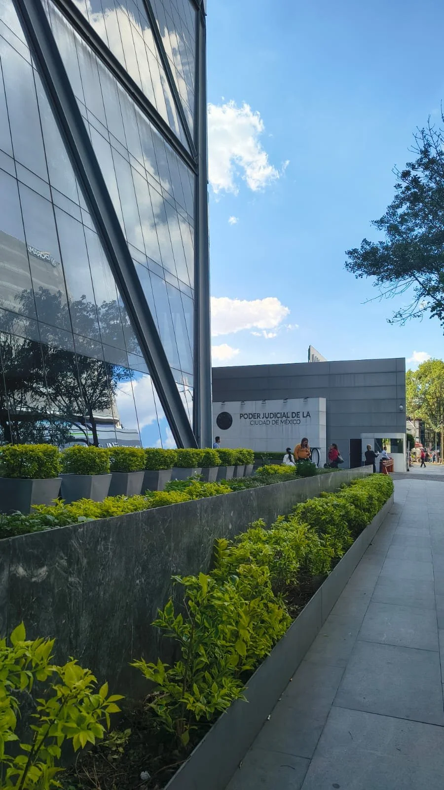 Edificio del Poder Judicial de la Ciudad de México con ventanas de cristal reflejando el cielo y las nubes, rodeado de áreas verdes y personas caminando afuera.