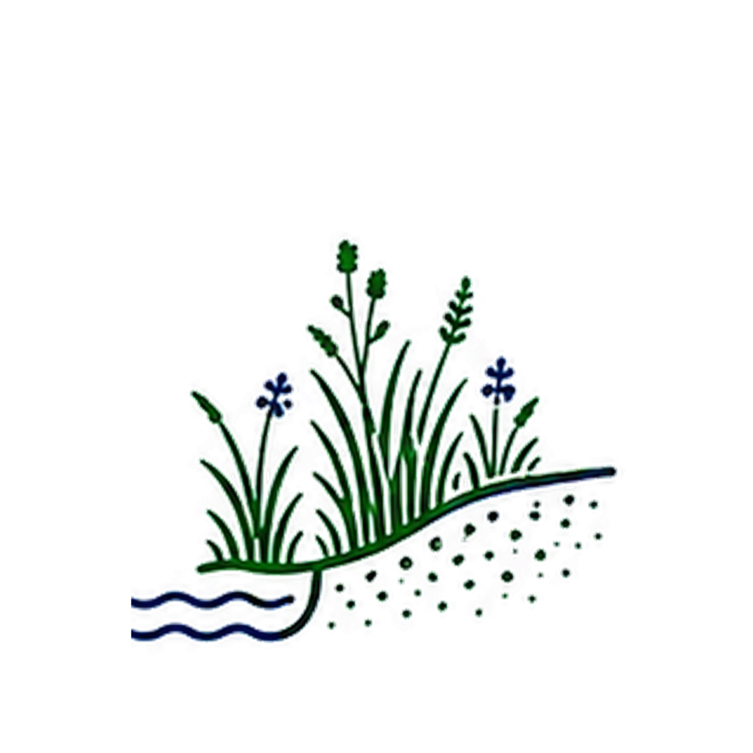 Illustration of a flowerbed with green grass, blue flowers, and herbs, next to a small water body, with a dotted pattern below.