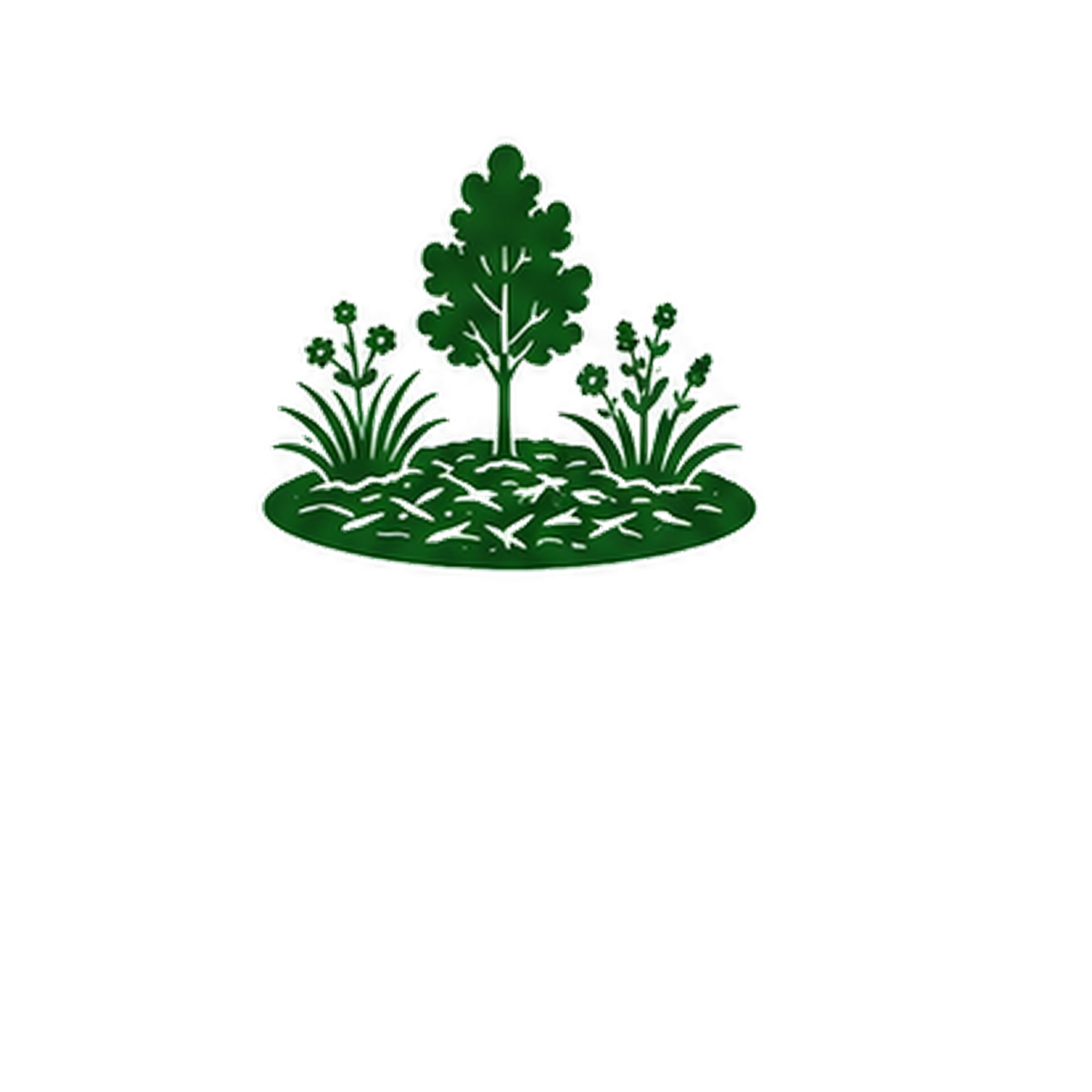The state seal of Texas featuring a single star, a olive branch, and an ancient oak tree.