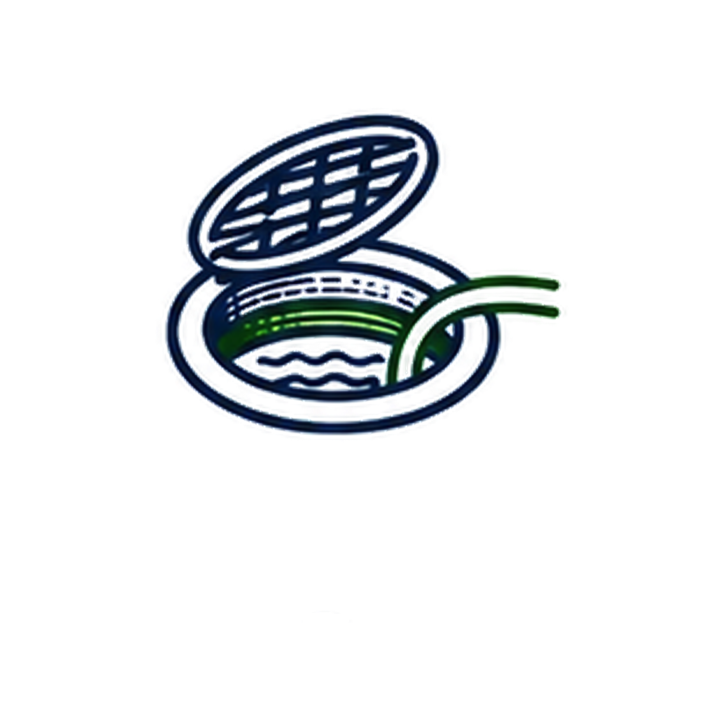 A stylized logo featuring a blue football with a white laced pattern, partially encircled by green and red swooshes.