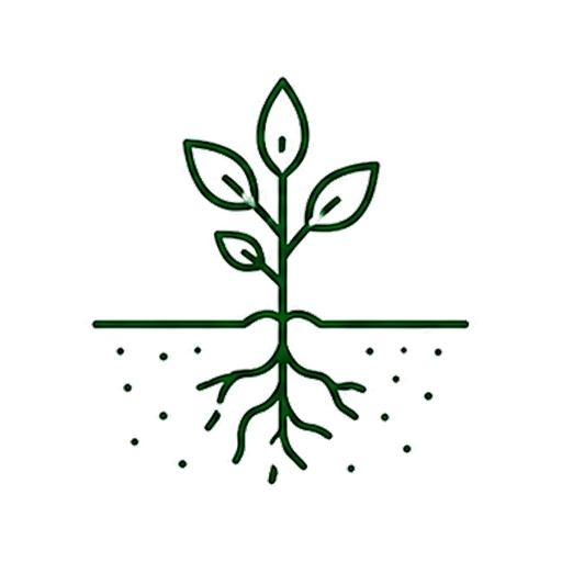 A line drawing of a plant with leaves and roots, showing growth underground and above ground.