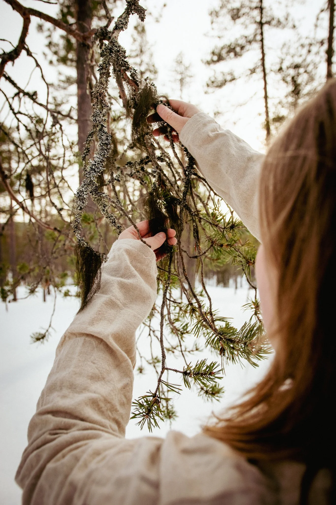 Foraging