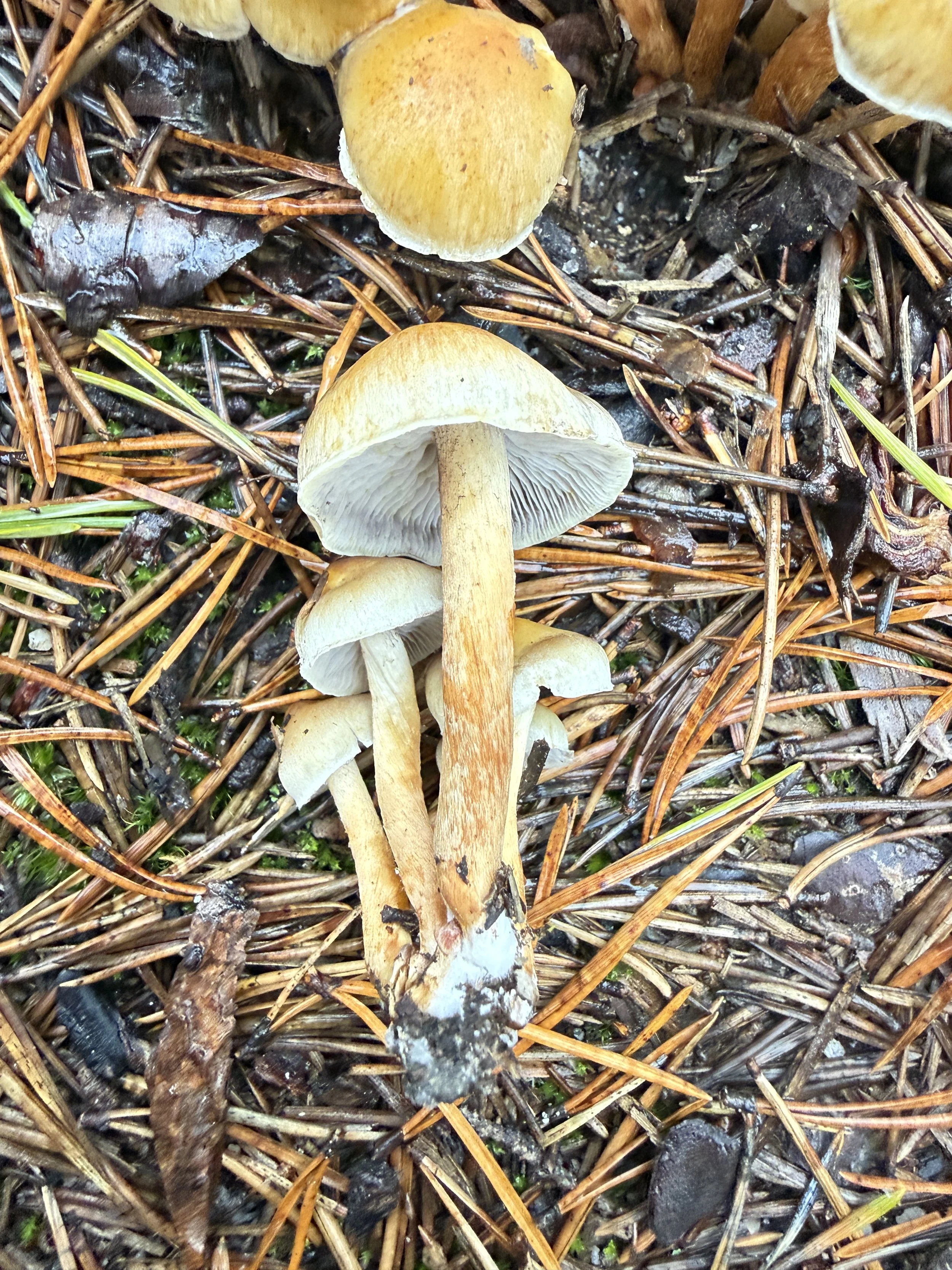 IMG_6659.jpeg