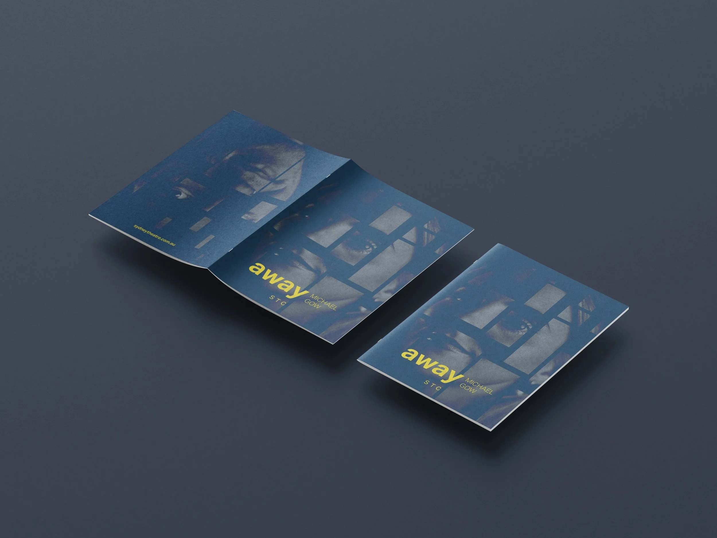 Free_A4_Floating_Brochure_Mockup_7.jpg