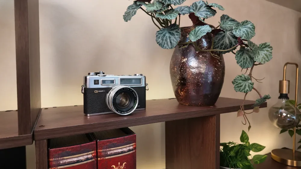 A vintage camera on a wooden shelf next to a rustic ceramic vase with green foliage. Part of a modern room with warm lighting and decorative items.