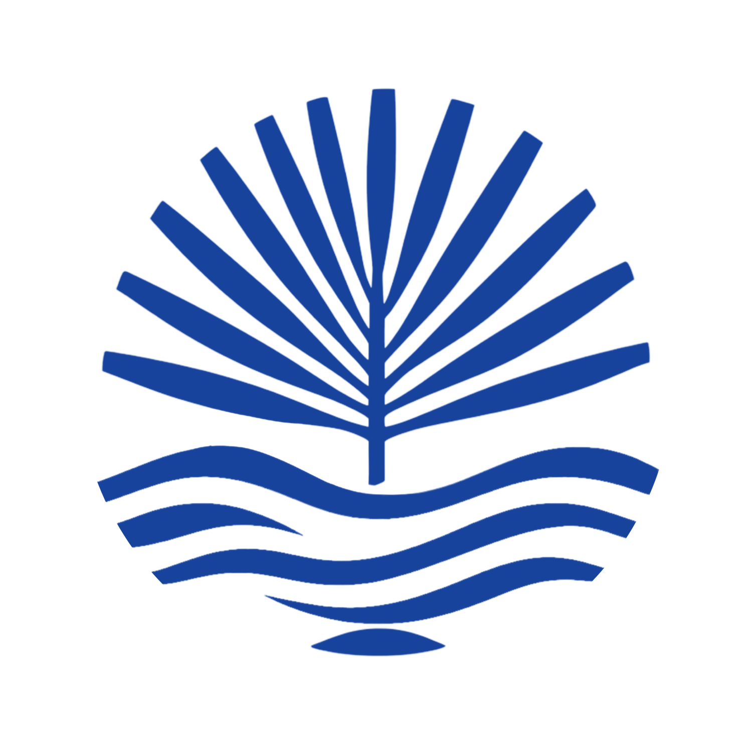House of Palm &amp; Tide